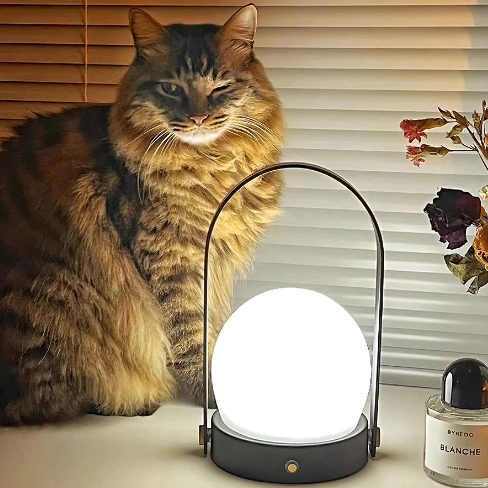 Zenon Glass Minimalist Table Lamp - Letslighting