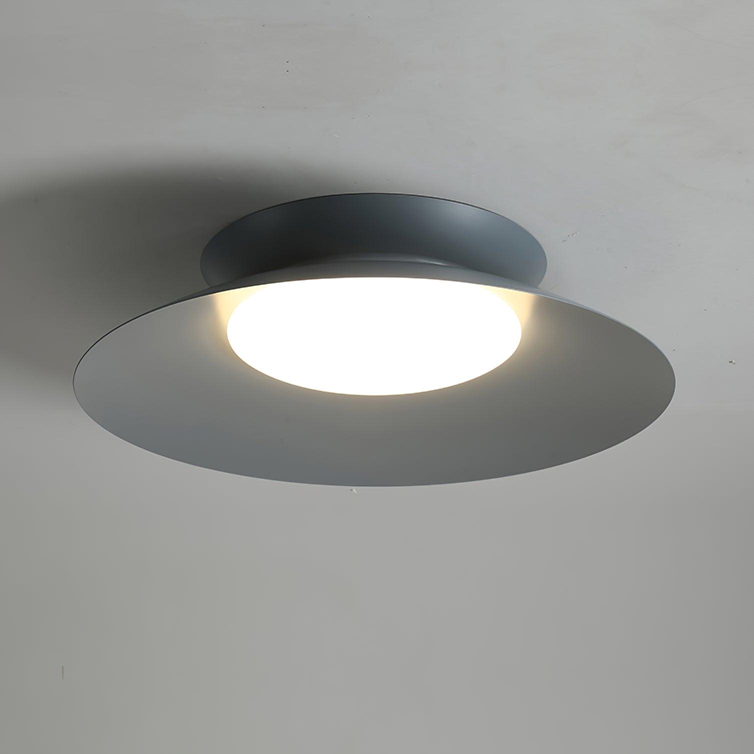 Zezoraris Metal Ceiling Light