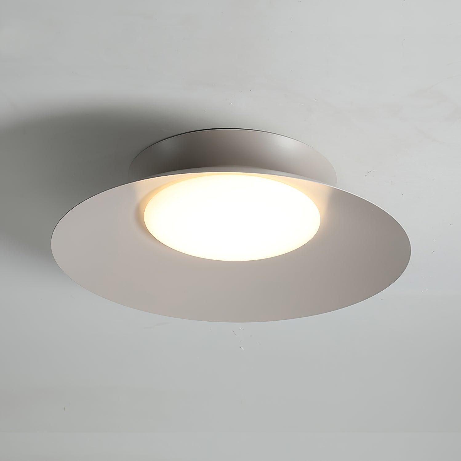 Zezoraris Metal Ceiling Light