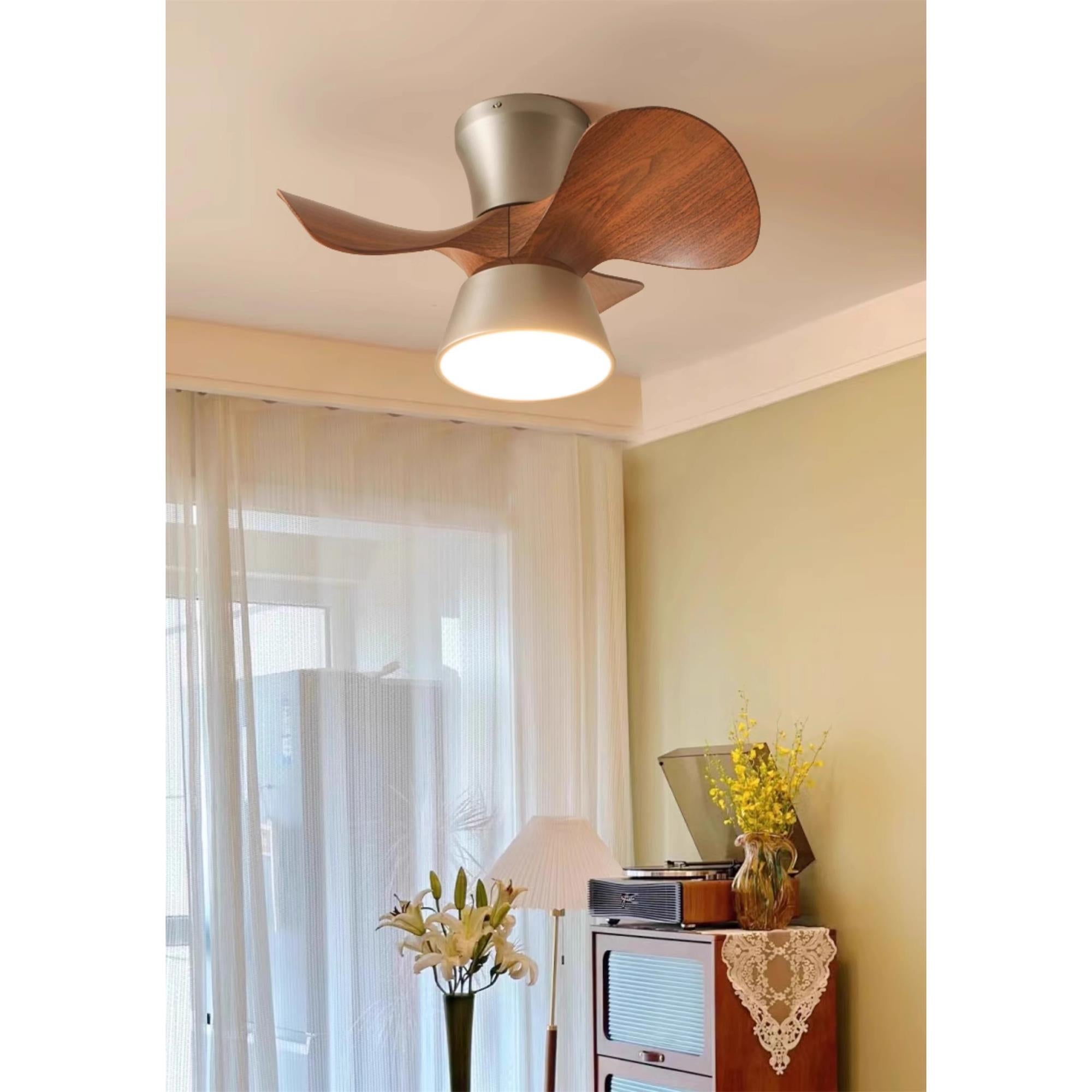 Zanorir Modern Minimalist Natural Wooden Acrylic Ceiling Fan Light - Letslighting