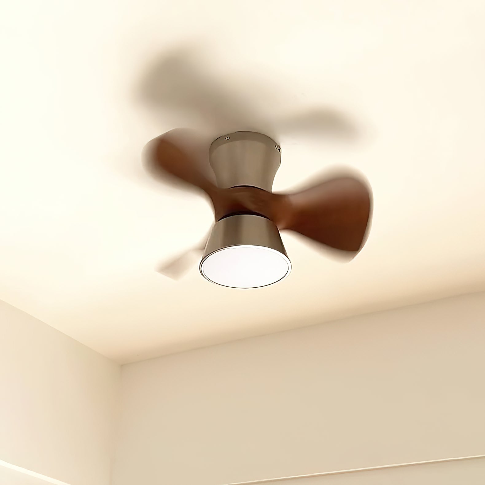 Zanorir Modern Minimalist Natural Wooden Acrylic Ceiling Fan Light - Letslighting