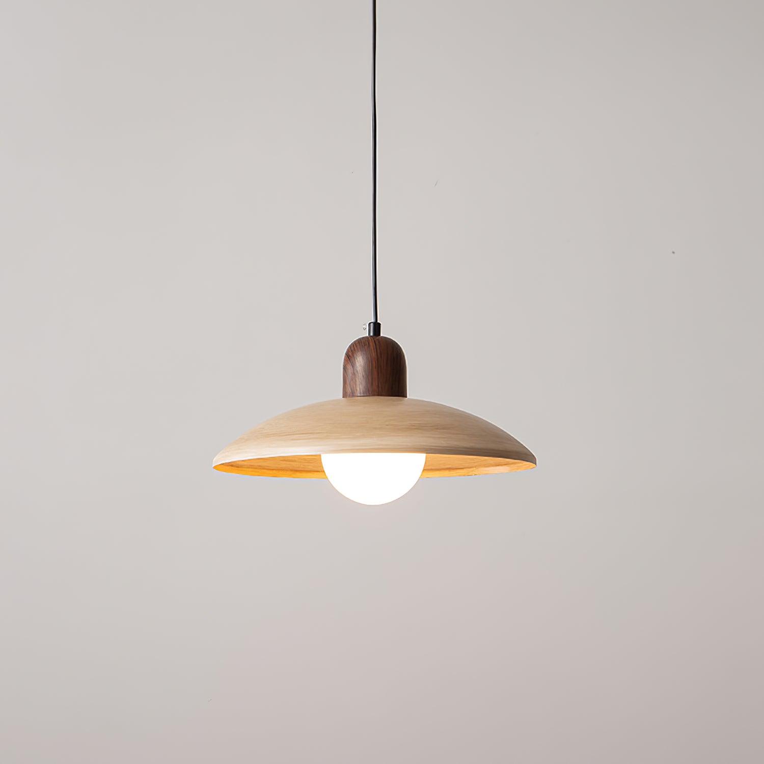 Norrin Dome Pendant Light - Letslighting