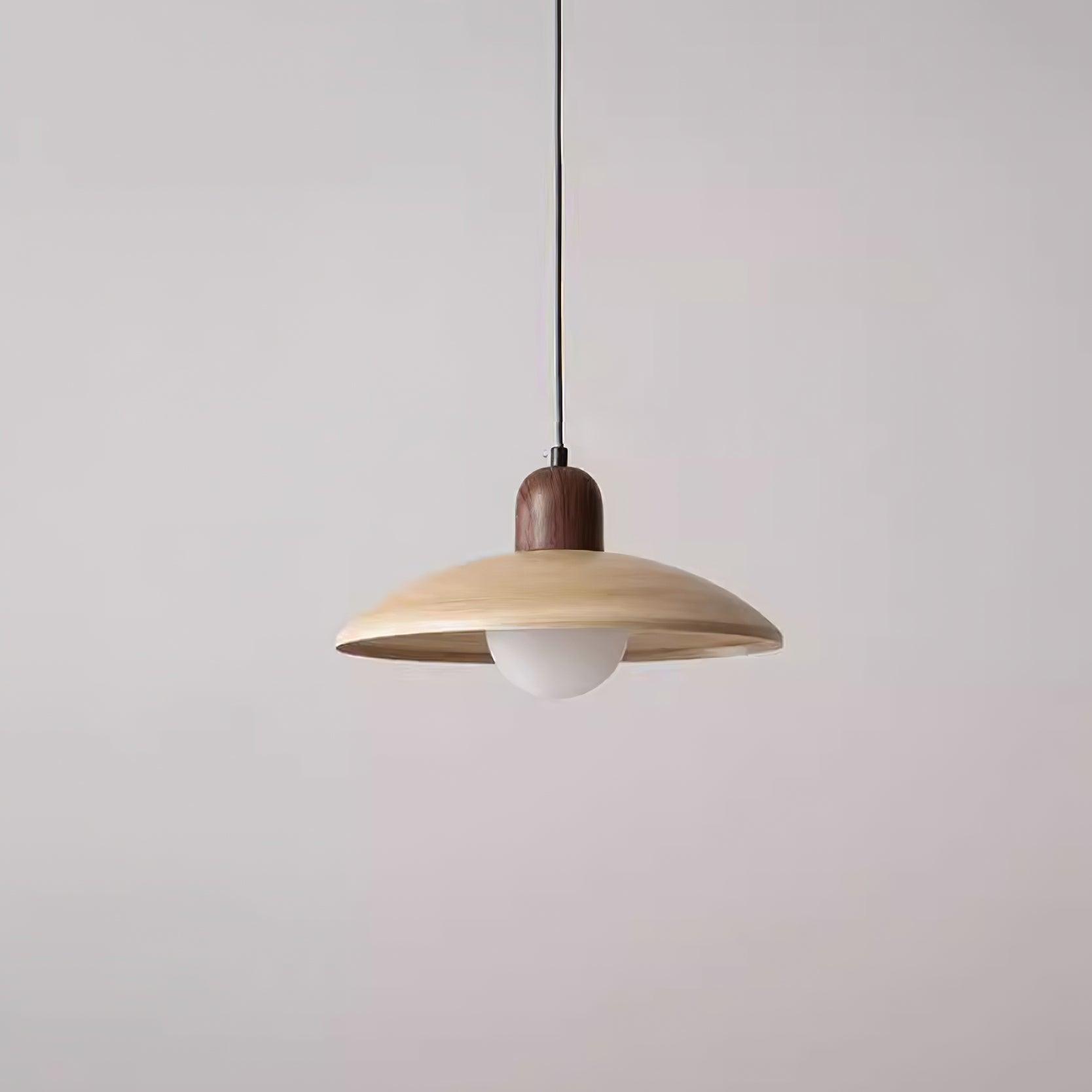 Norrin Dome Pendant Light - Letslighting