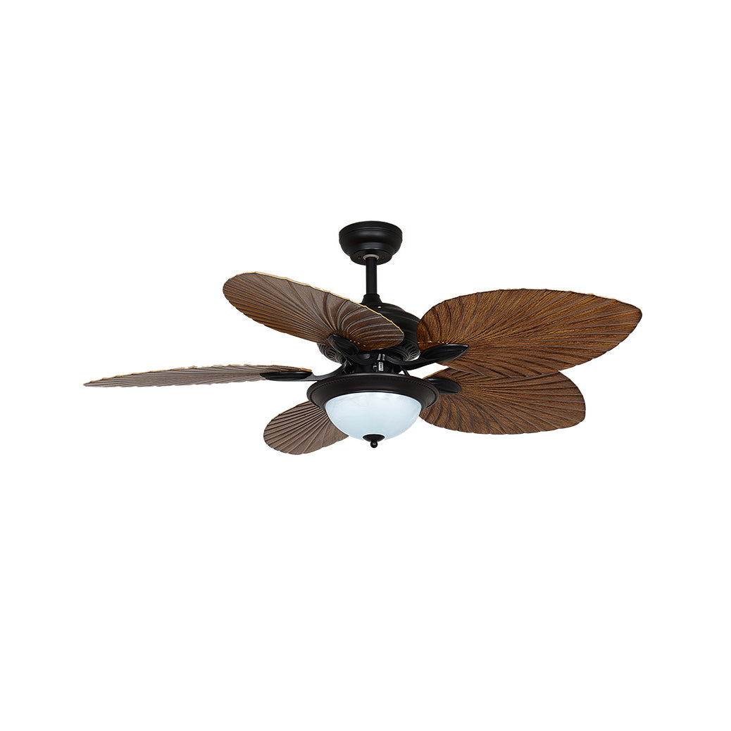 Yearn Natural Classic Walnut Acrylic Ceiling Fan Light - Letslighting