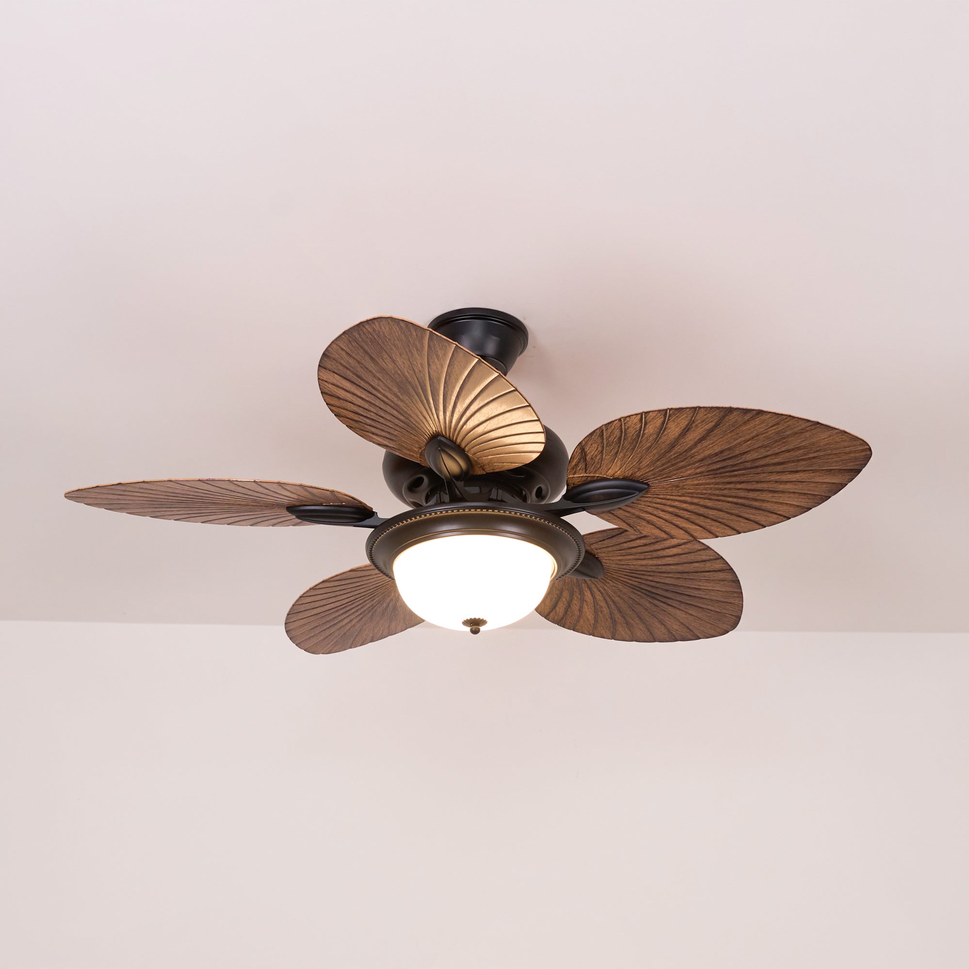 Yearn Natural Classic Walnut Acrylic Ceiling Fan Light - Letslighting
