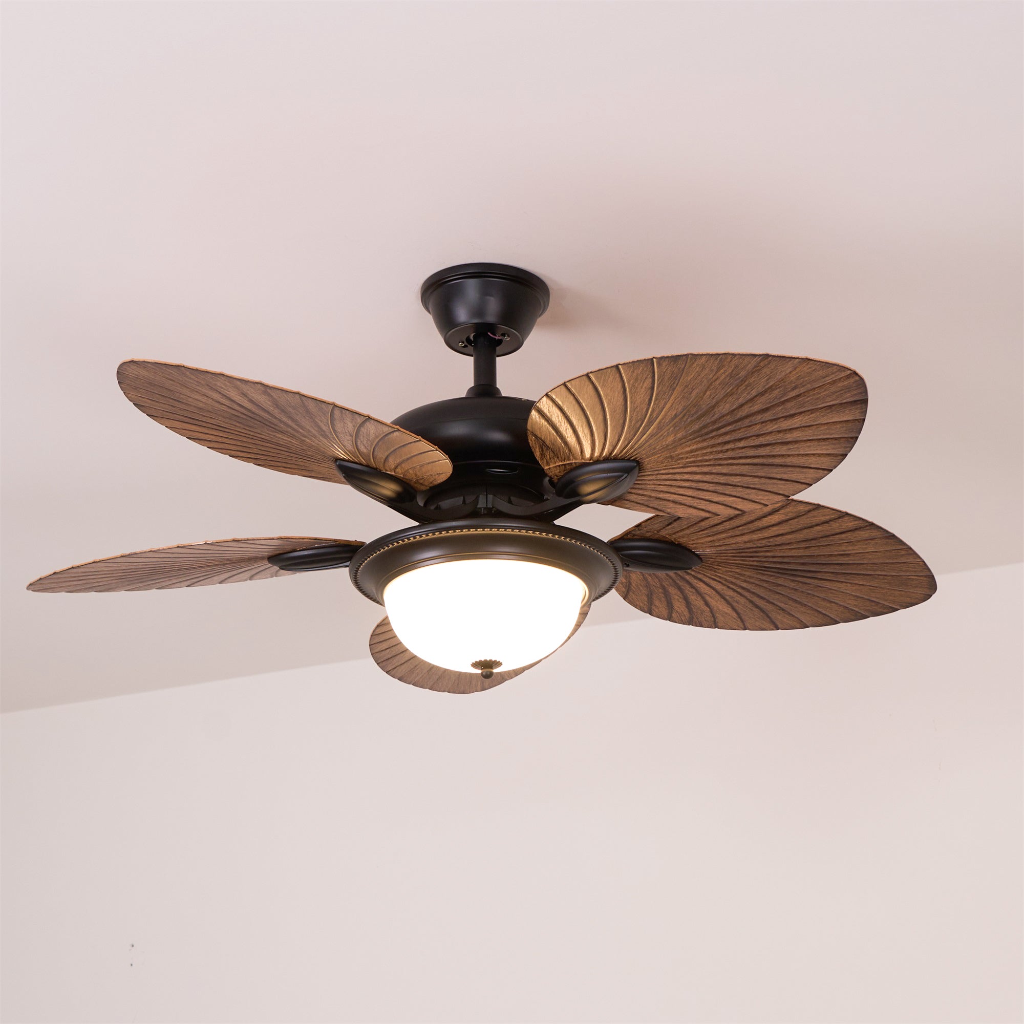 Yearn Natural Classic Walnut Acrylic Ceiling Fan Light - Letslighting