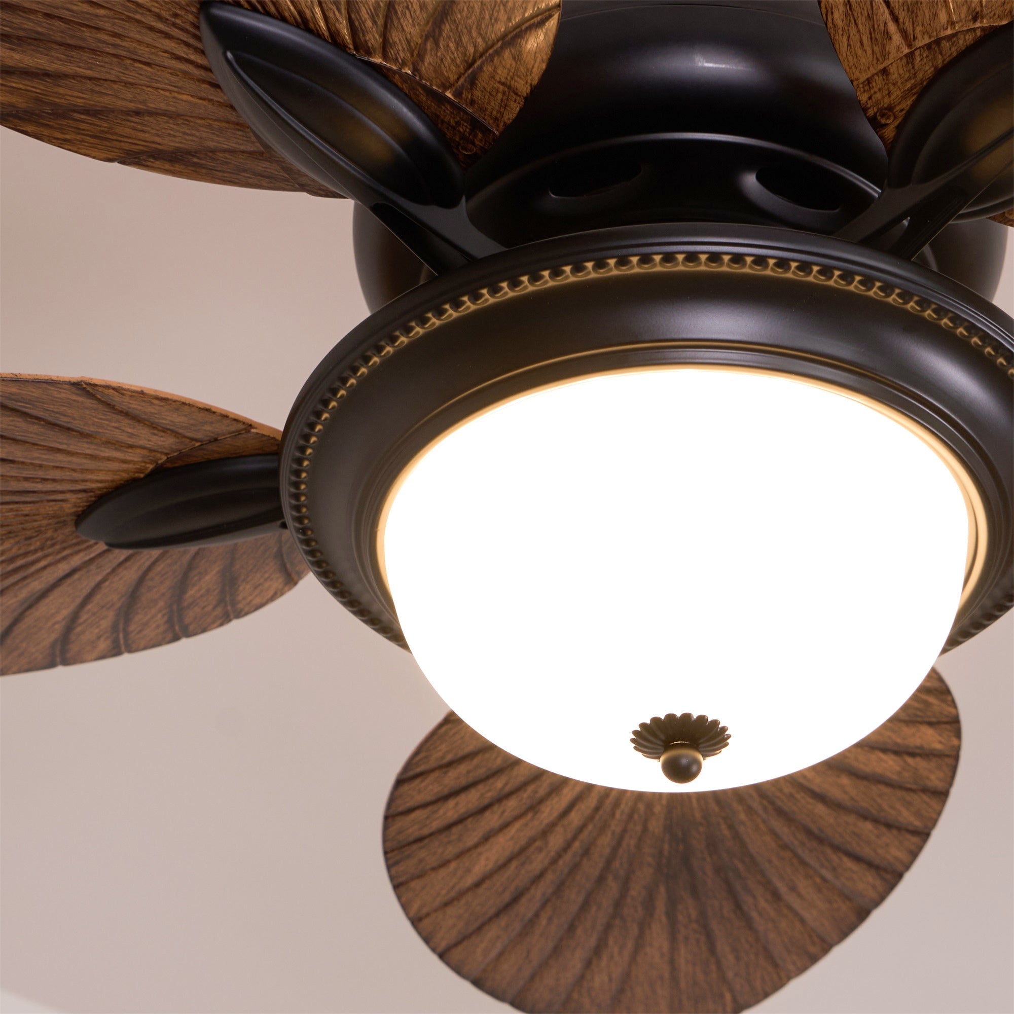 Yearn Natural Classic Walnut Acrylic Ceiling Fan Light - Letslighting