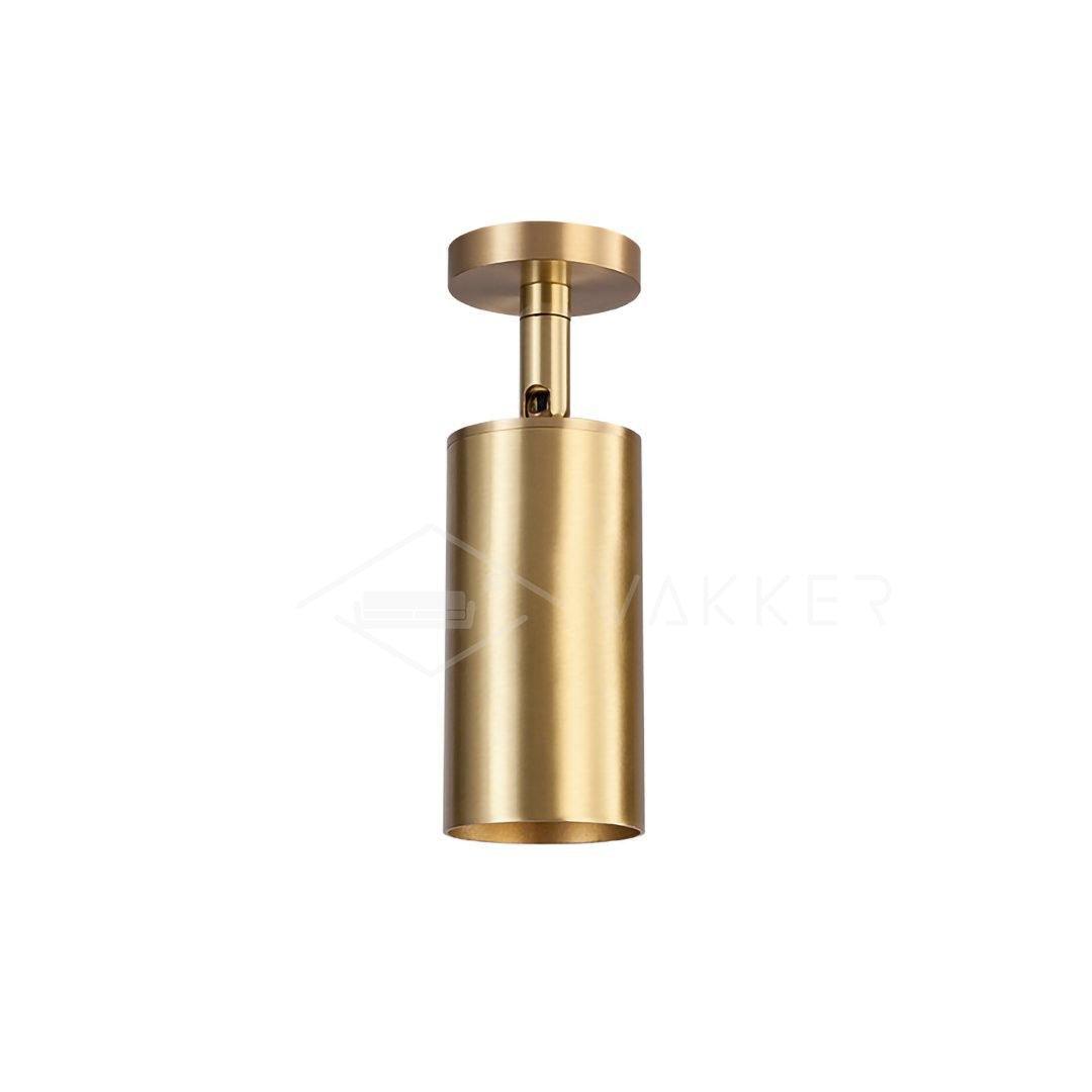 Cacaryra Modern Minimalist Brass Ceiling Lamp - Letslighting