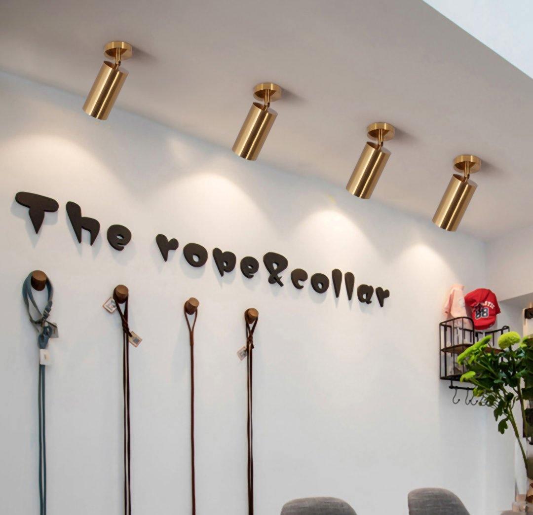 Cacaryra Modern Minimalist Brass Ceiling Lamp - Letslighting