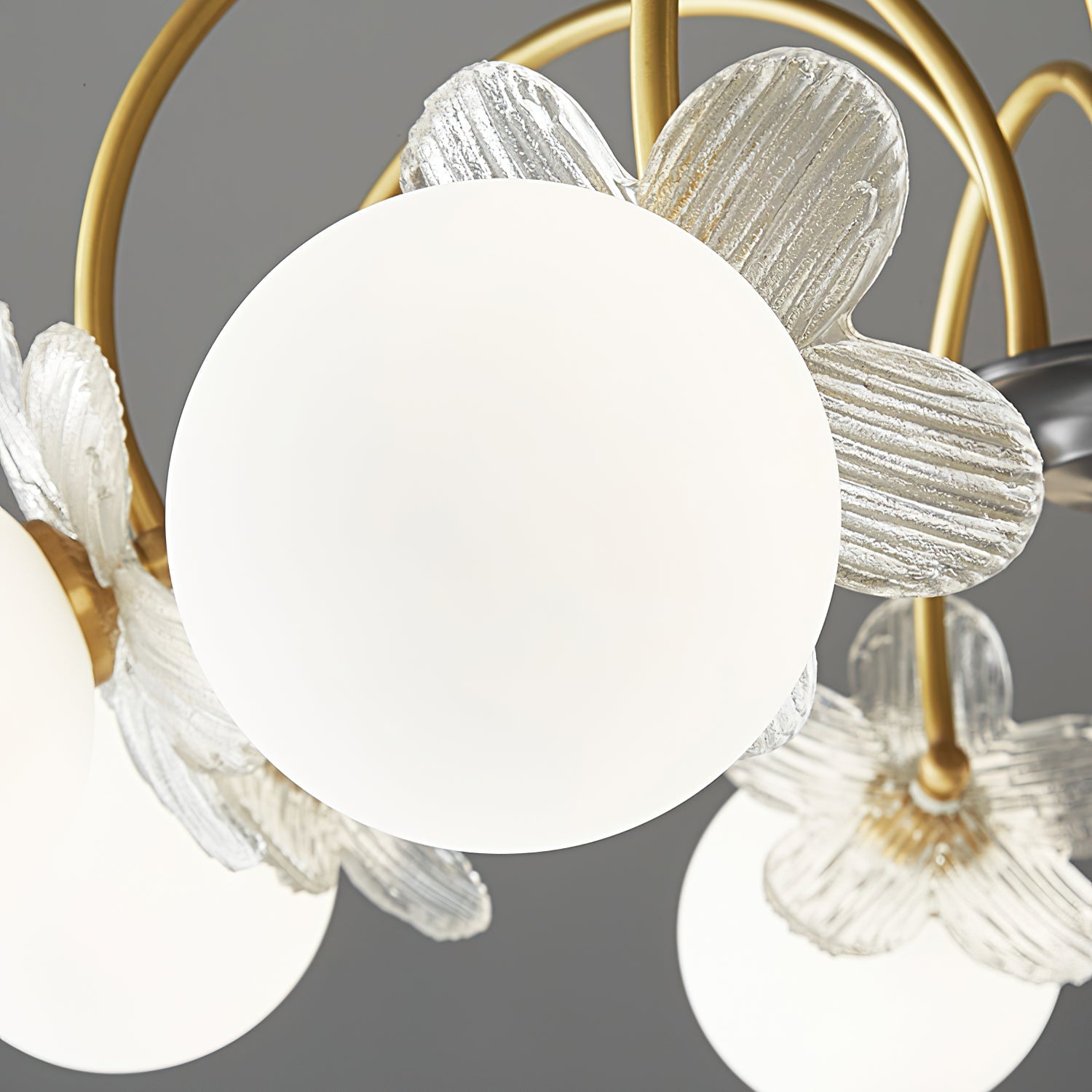 Petalia Brass Chandelier - Letslighting