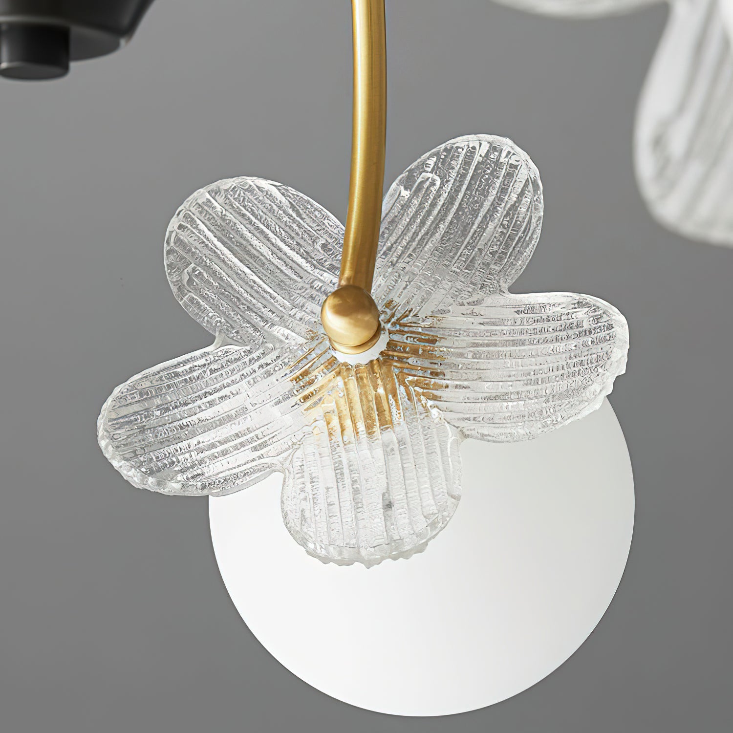 Petalia Brass Chandelier - Letslighting