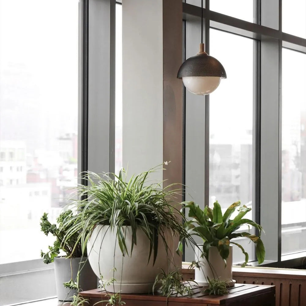 Pith Modern Minimalist Dome Perforated Wooden Pendant Lamp - Letslighting