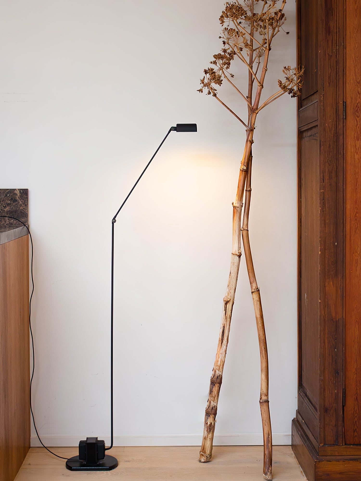 Nerilux Adjustable Floor Lamp - Letslighting