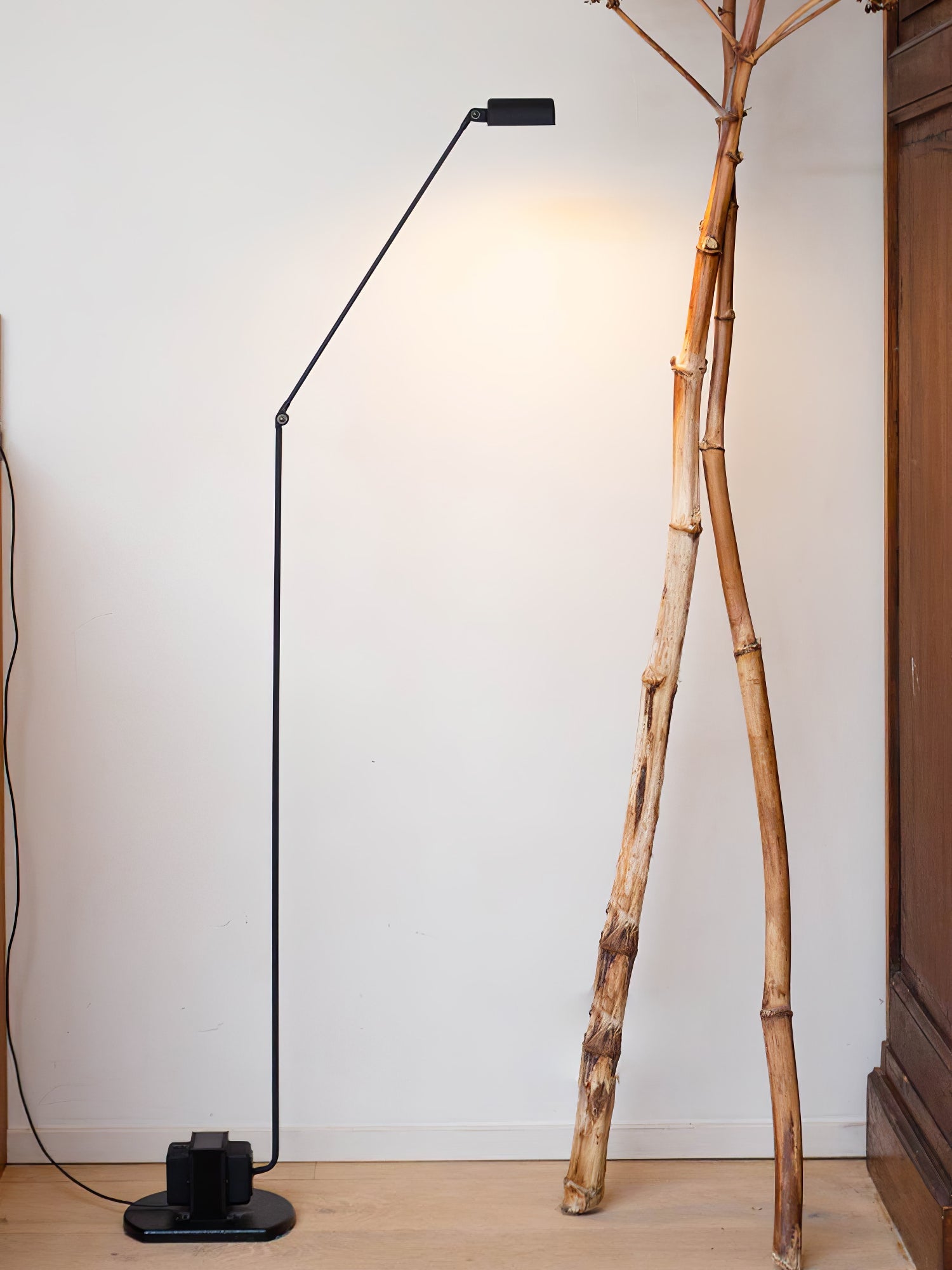 Nerilux Adjustable Floor Lamp - Letslighting
