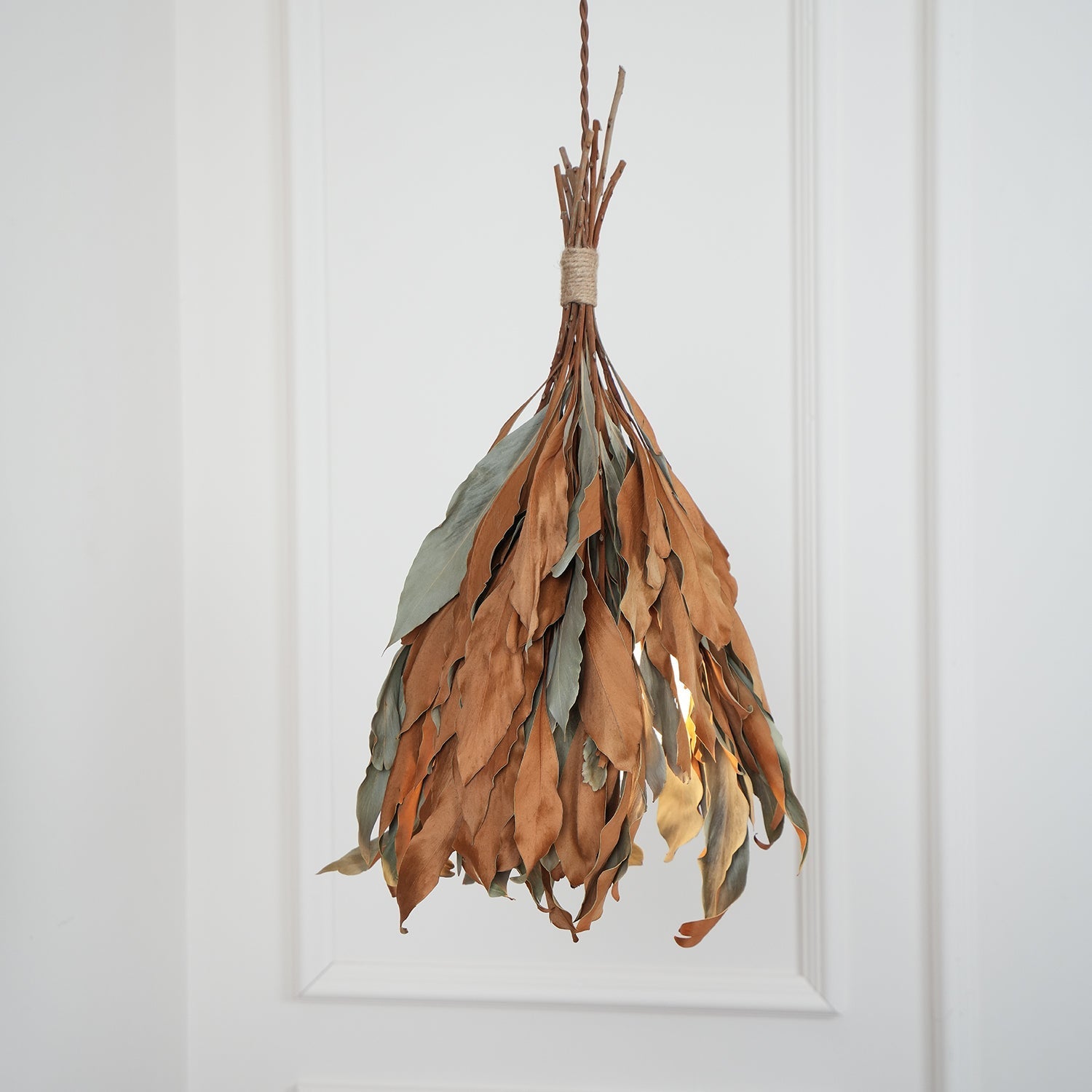 Nuviain Nature Pendant Lamp - Letslighting