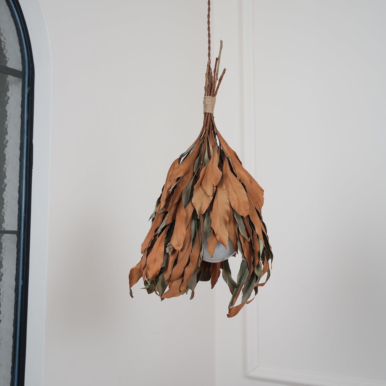 Nuviain Nature Pendant Lamp - Letslighting