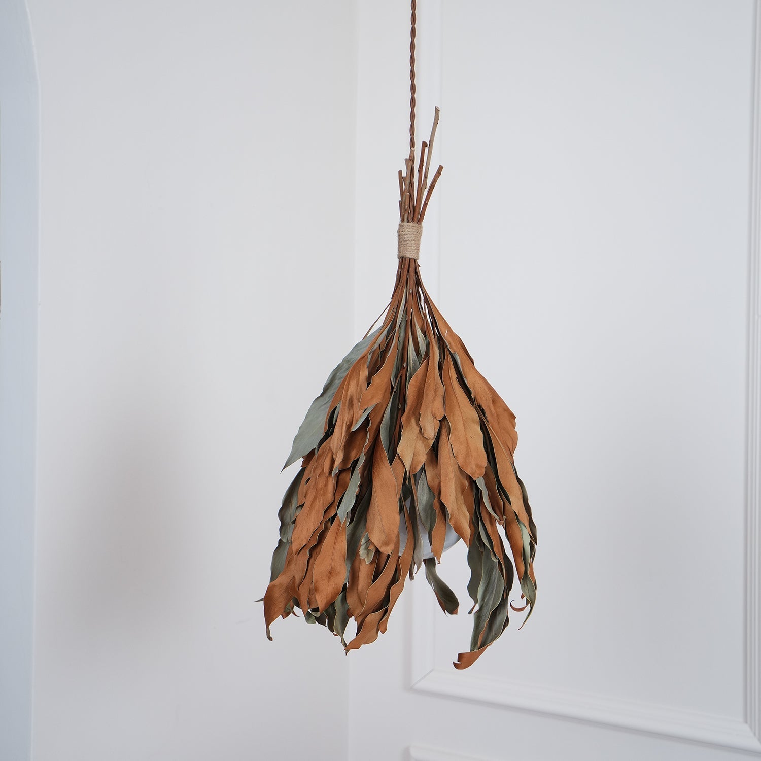 Nuviain Nature Pendant Lamp - Letslighting