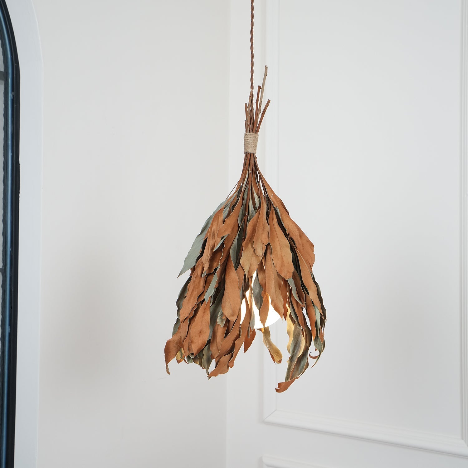Nuviain Nature Pendant Lamp - Letslighting