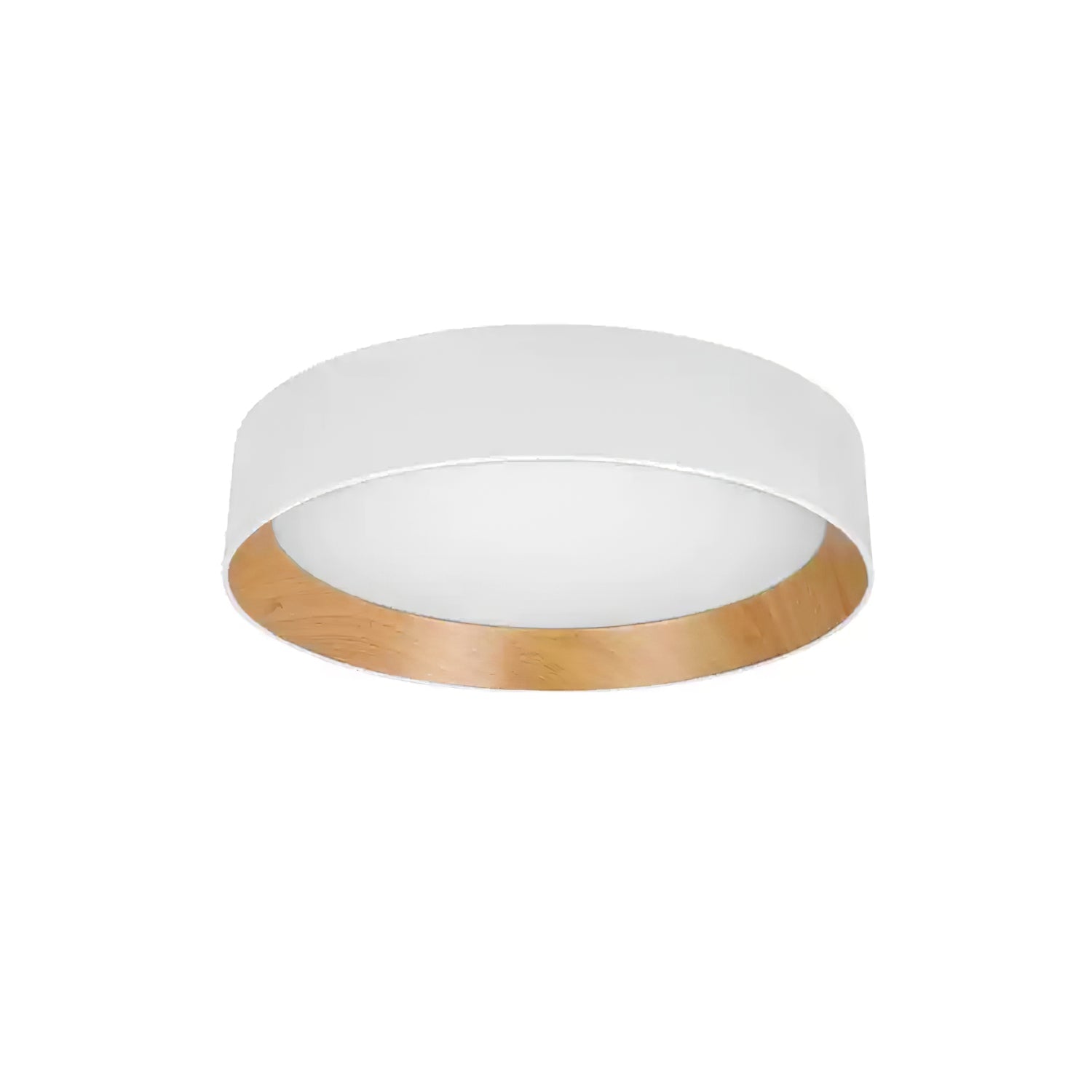 Caraeara Modern Minimalist Round Ceiling Lamp - Letslighting
