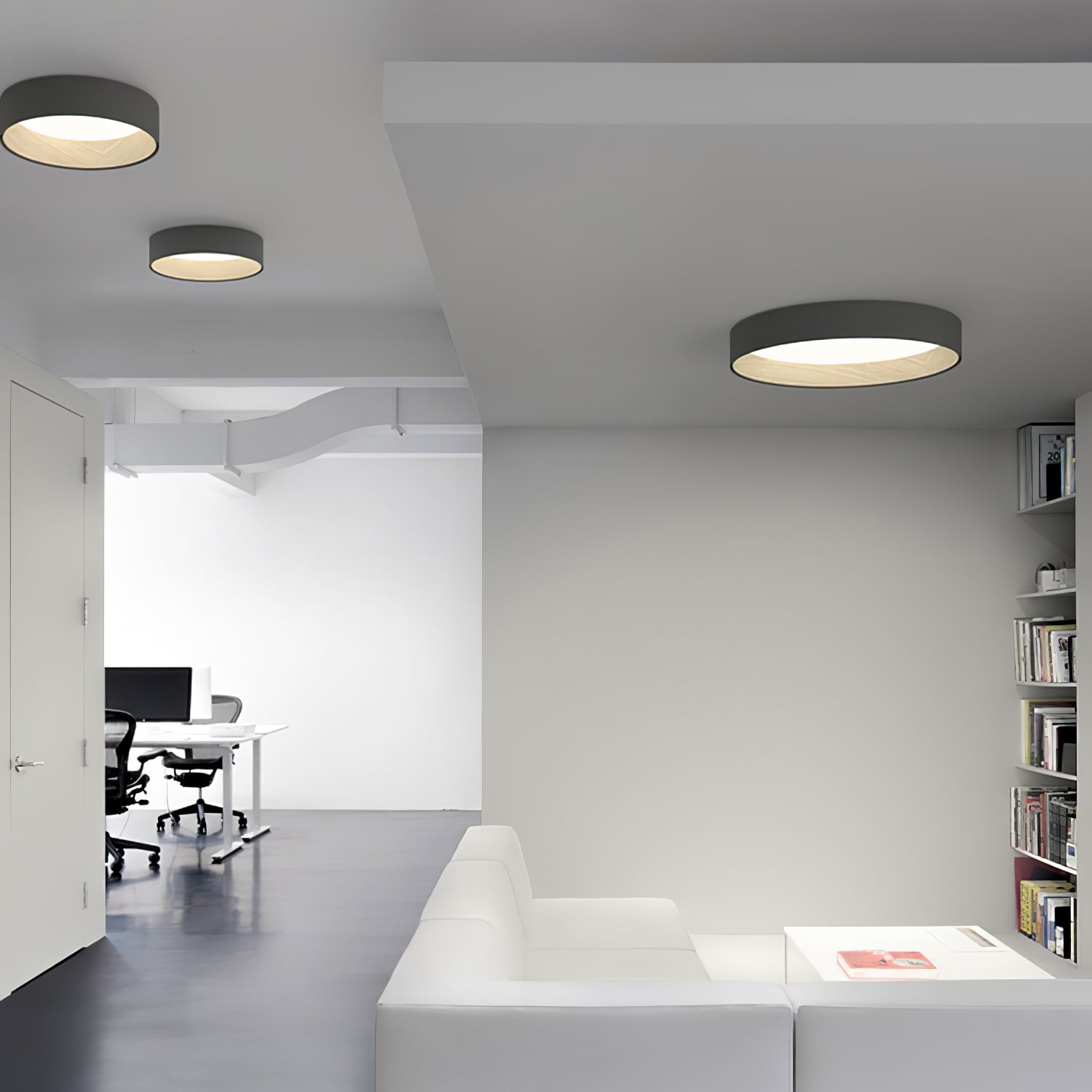 Caraeara Modern Minimalist Round Ceiling Lamp - Letslighting