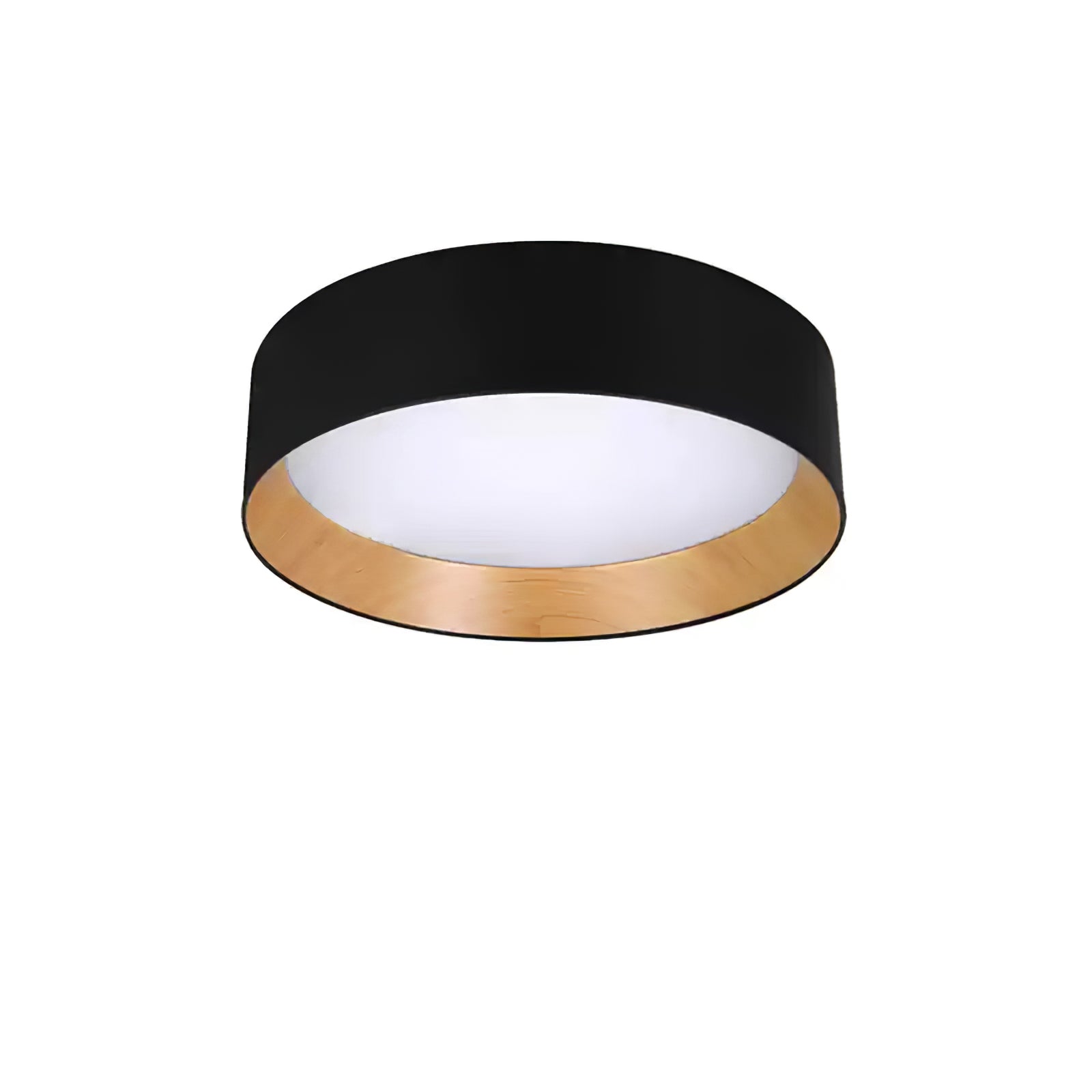 Caraeara Modern Minimalist Round Ceiling Lamp - Letslighting