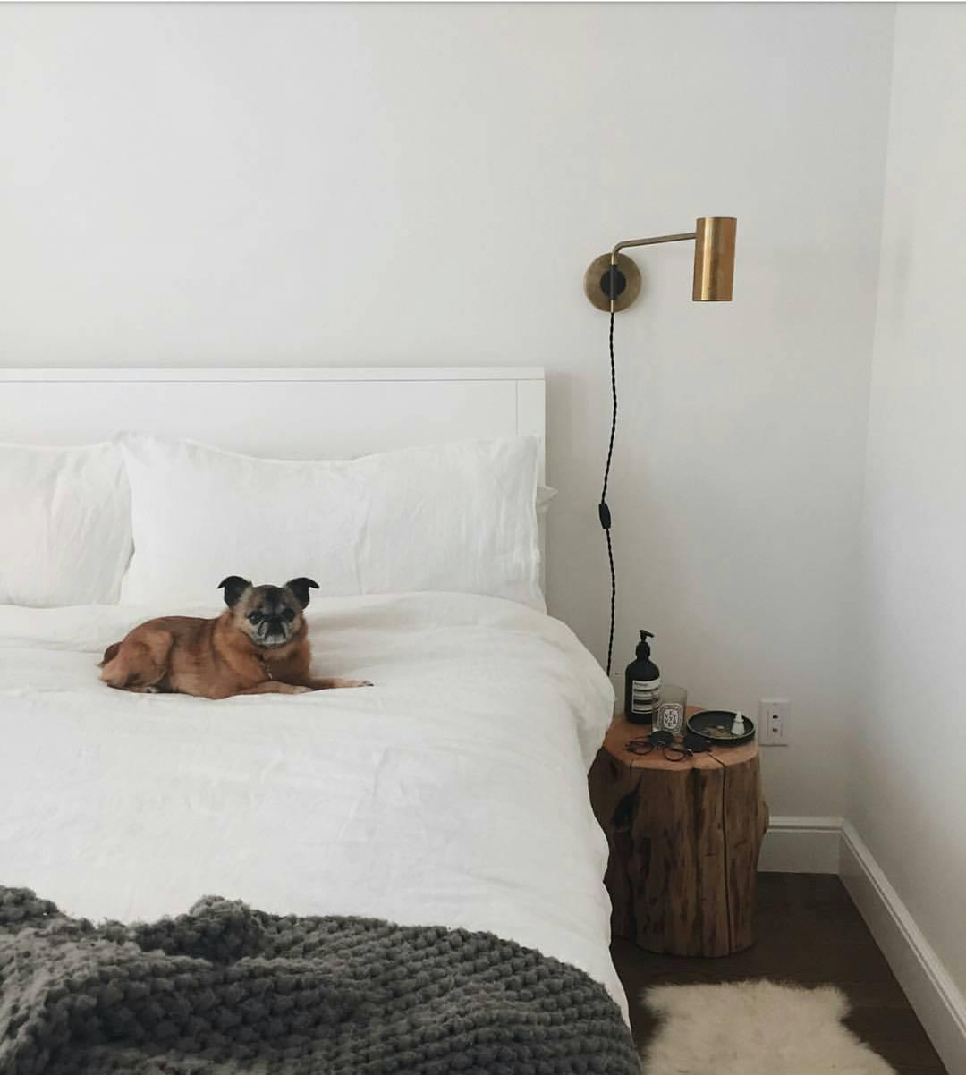 Zarase Steel Industrial Wall Lamp - Letslighting