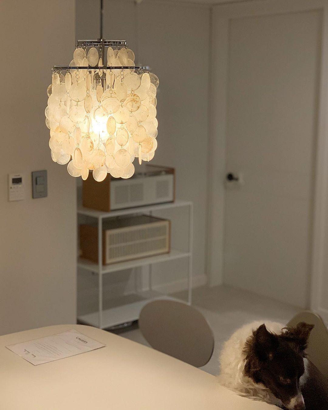 Lustra Pendant Lamp Round Shell Ring - Letslighting
