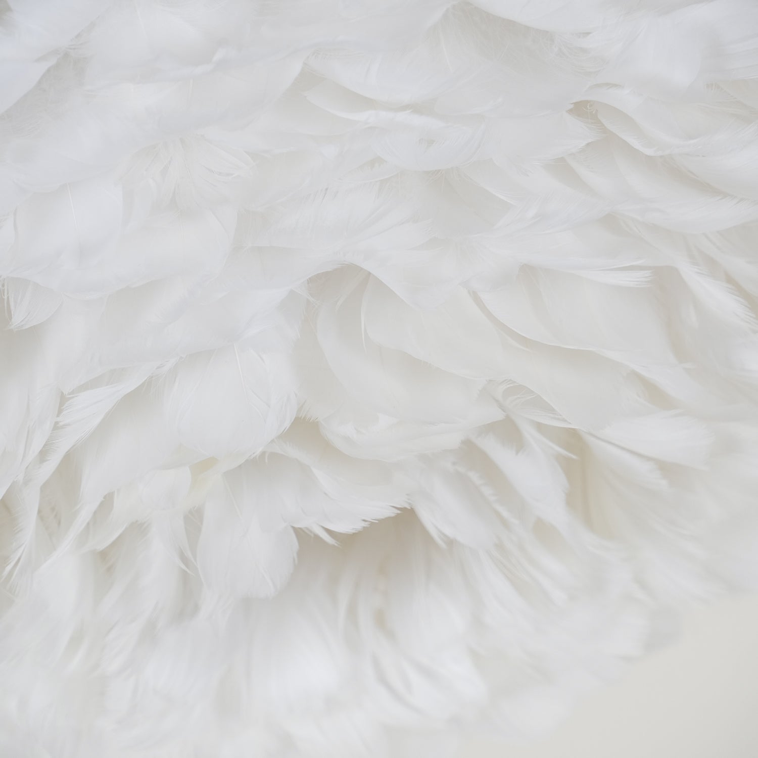 Zalore Premium Nordic Art Feathered Ceiling Lamp - Letslighting