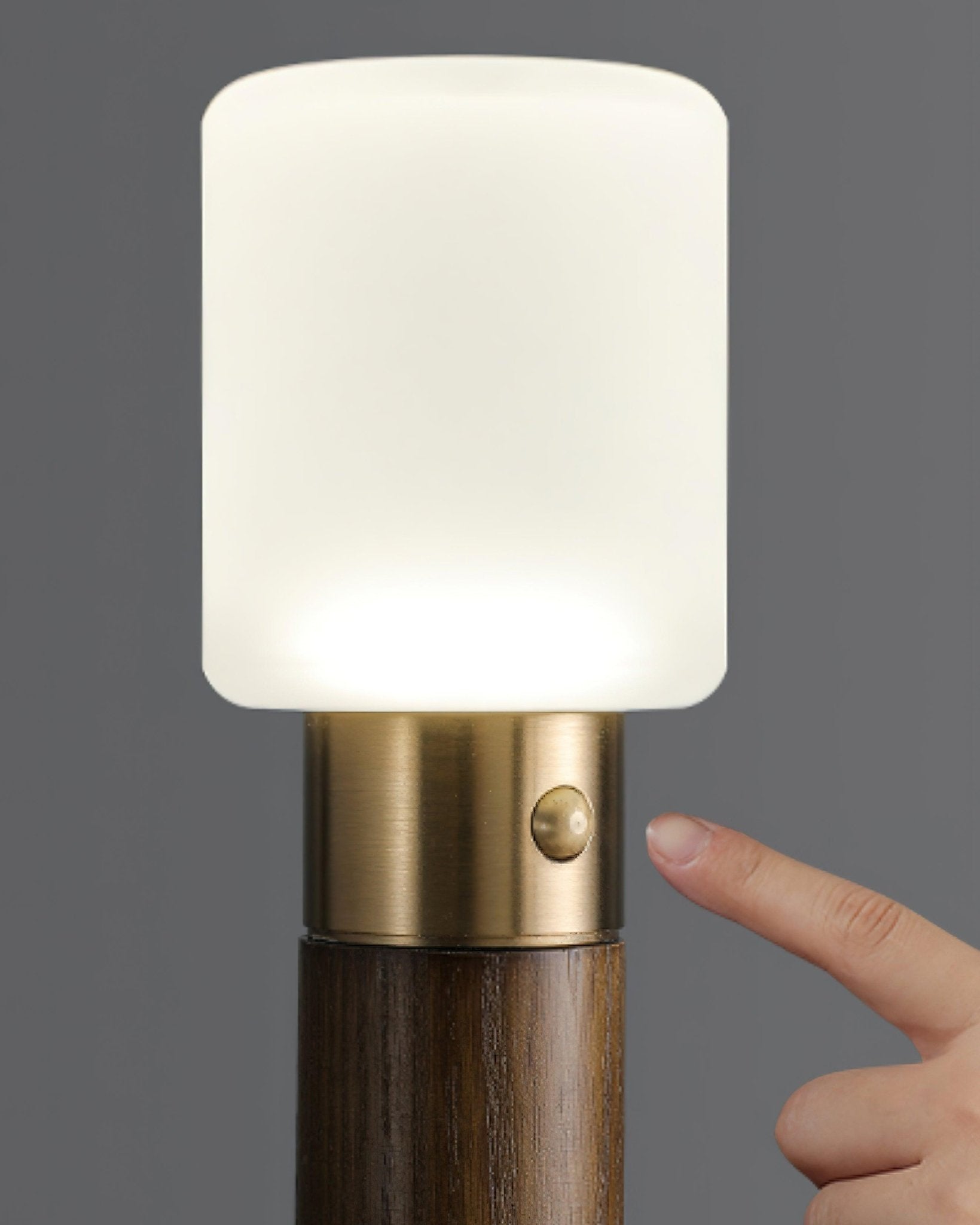 Lumaice Wood Minimalist Table Lamp - Letslighting