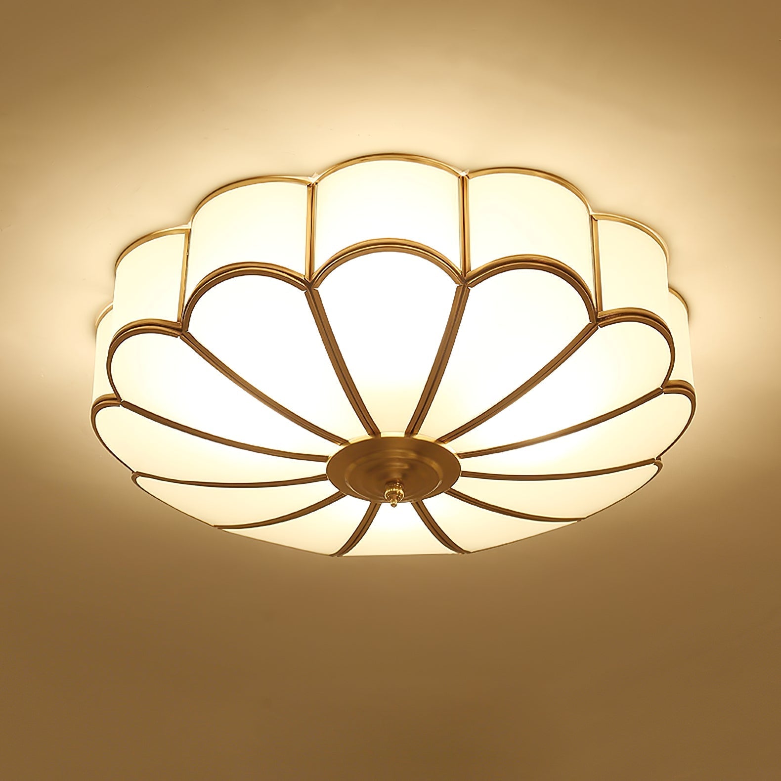 Viraean Modern Minimalist Flower Shape Brass Glass Ceiling Lamp - Letslighting