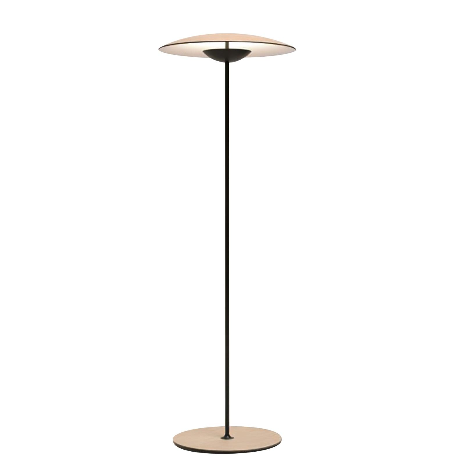Arcuse Aluminum Minimalist Floor Lamp - Letslighting