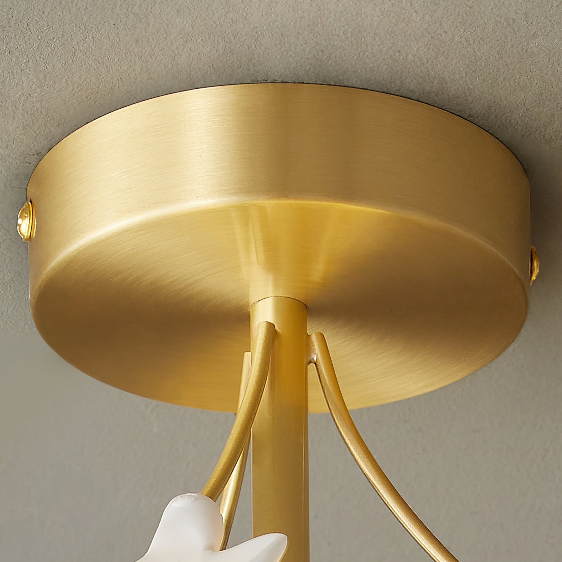 Ginkgo Rosalia Ceiling Lamp Leaf Petal Brass Modern - Letslighting