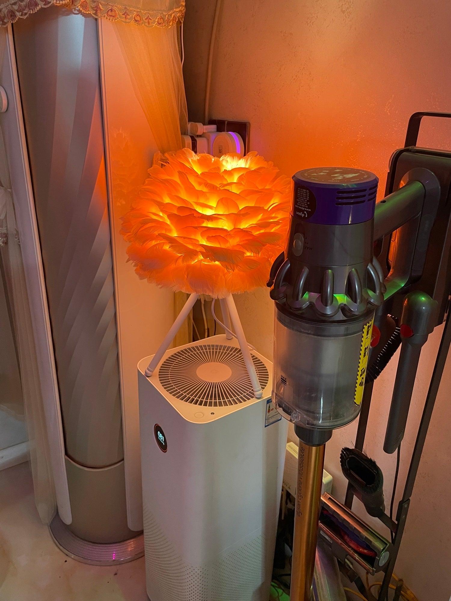 Nilo Feather Feminine Table Lamp - Letslighting