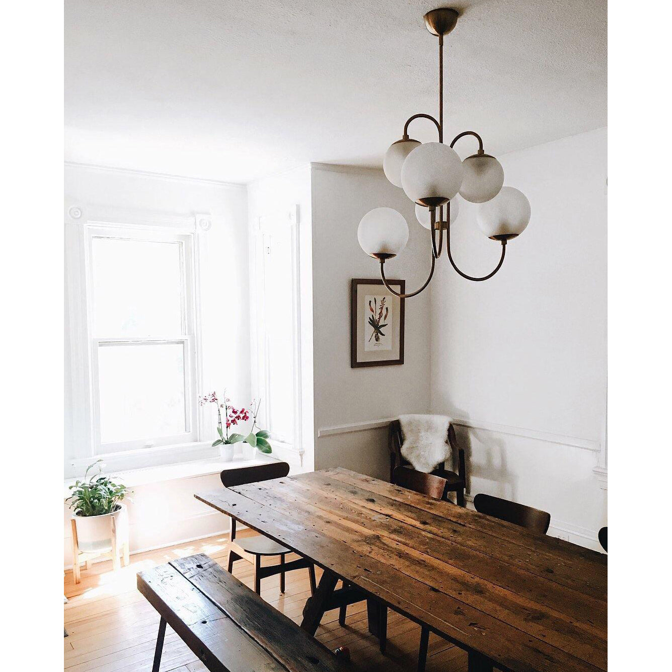 Zathaor Individual Creativity Glass Chandelier - Letslighting