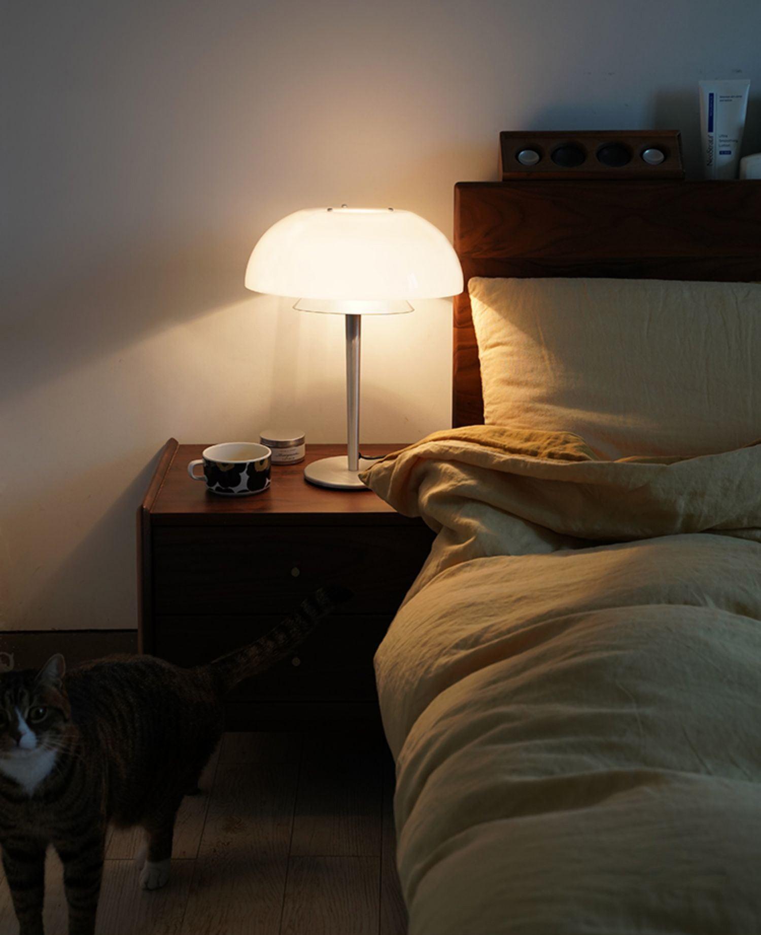 Globe Modern Glass Table Lamp - Letslighting