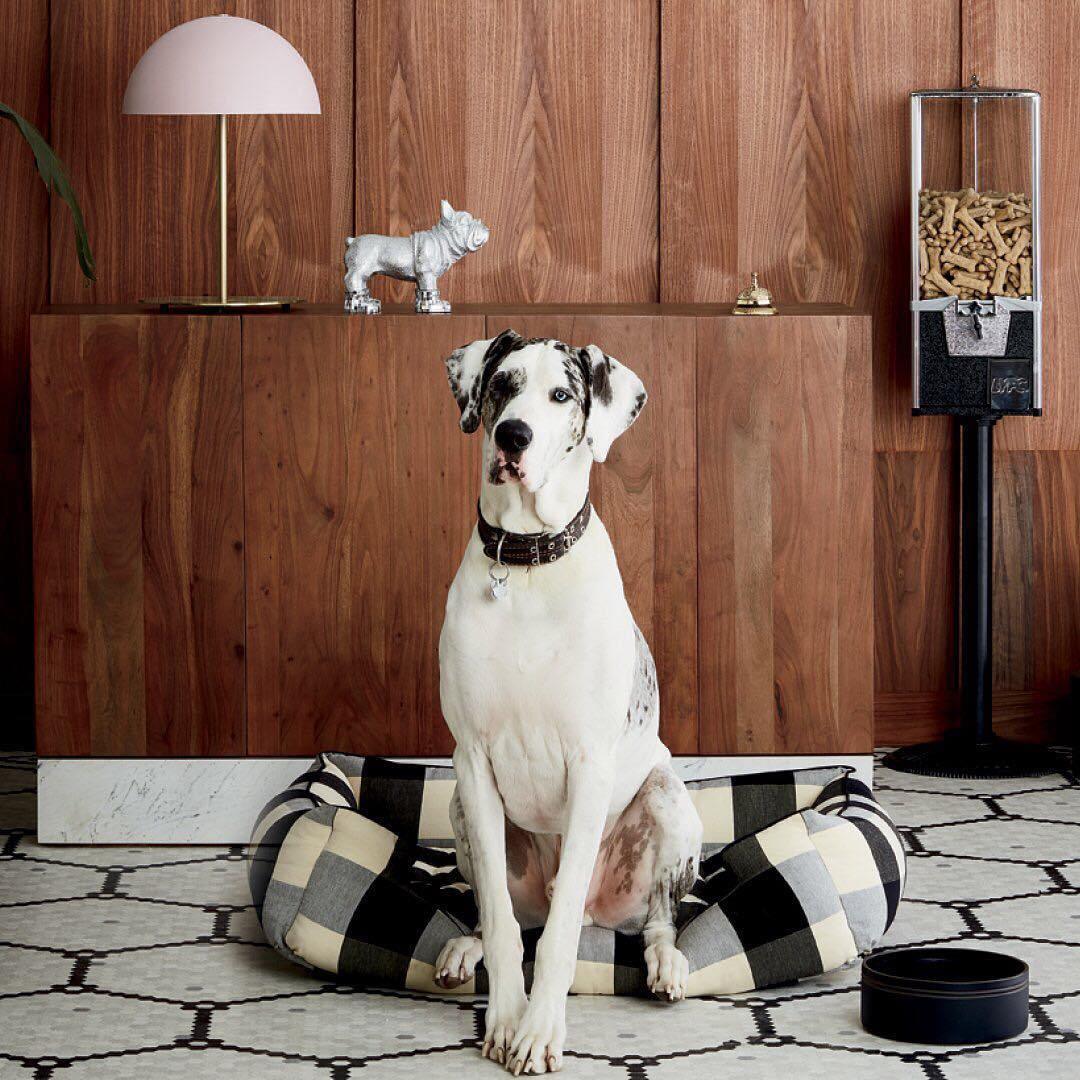 Zephen Acrylic Scandinavian Table Lamp - Letslighting