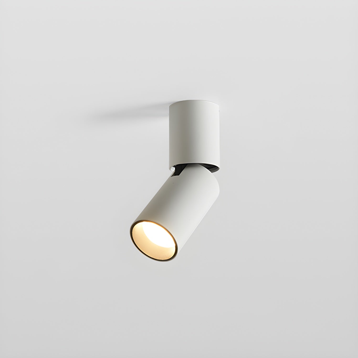 Elvynira Adjustable Surface Downlight Ceiling lamp - Letslighting