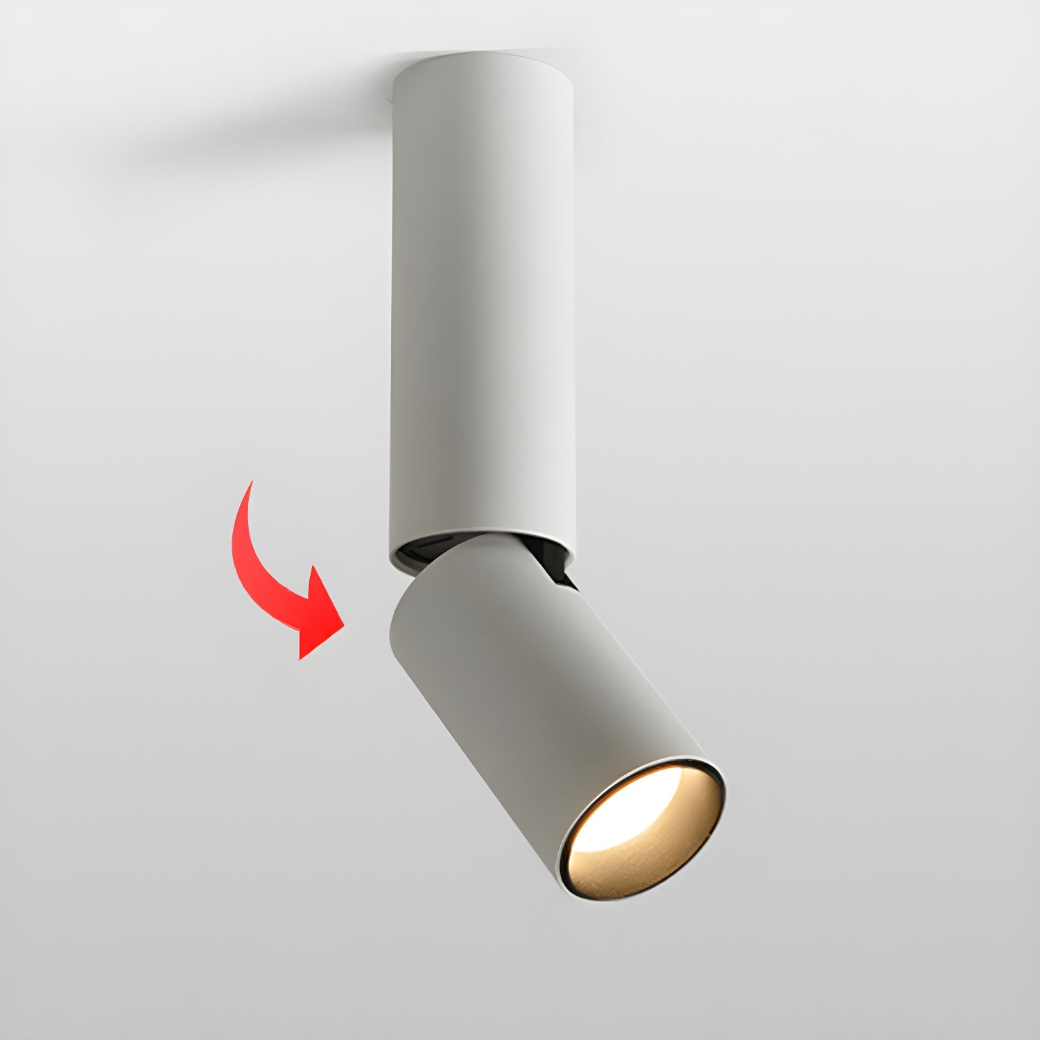 Elvynira Adjustable Surface Downlight Ceiling lamp - Letslighting