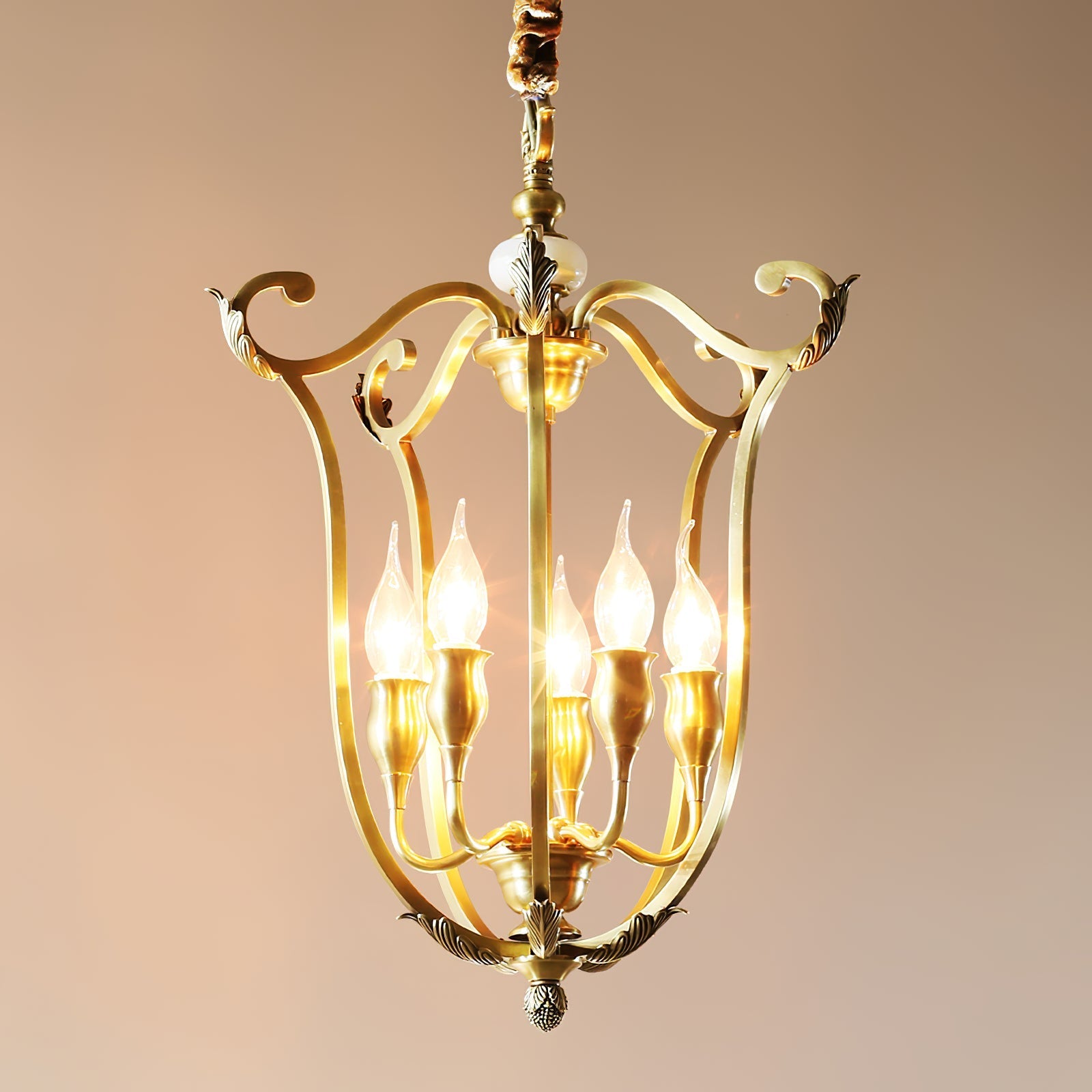 Caloren Individual Creativity Brass Pendant Light - Letslighting