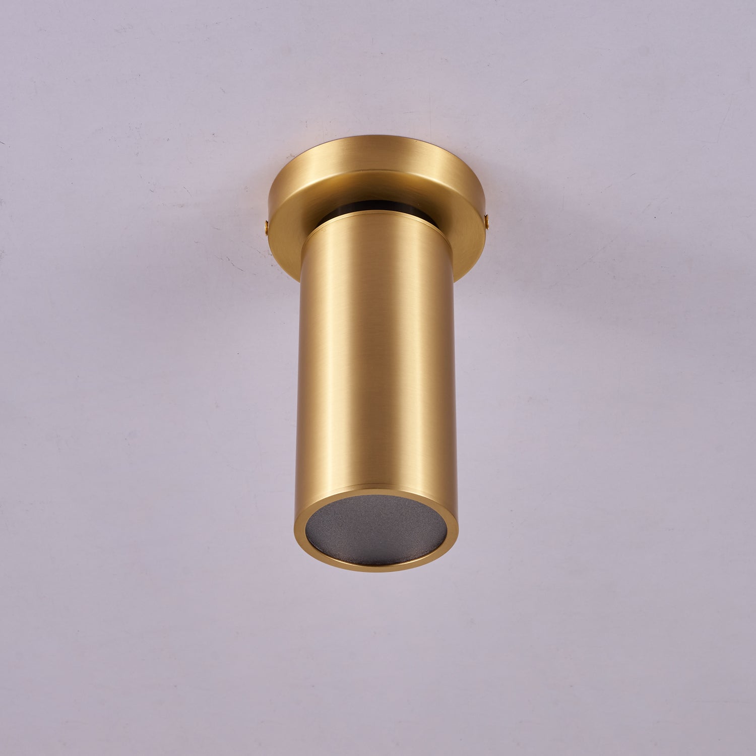 Syloran Modern Minimalist Brass Spot Light Ceiling lamp - Letslighting