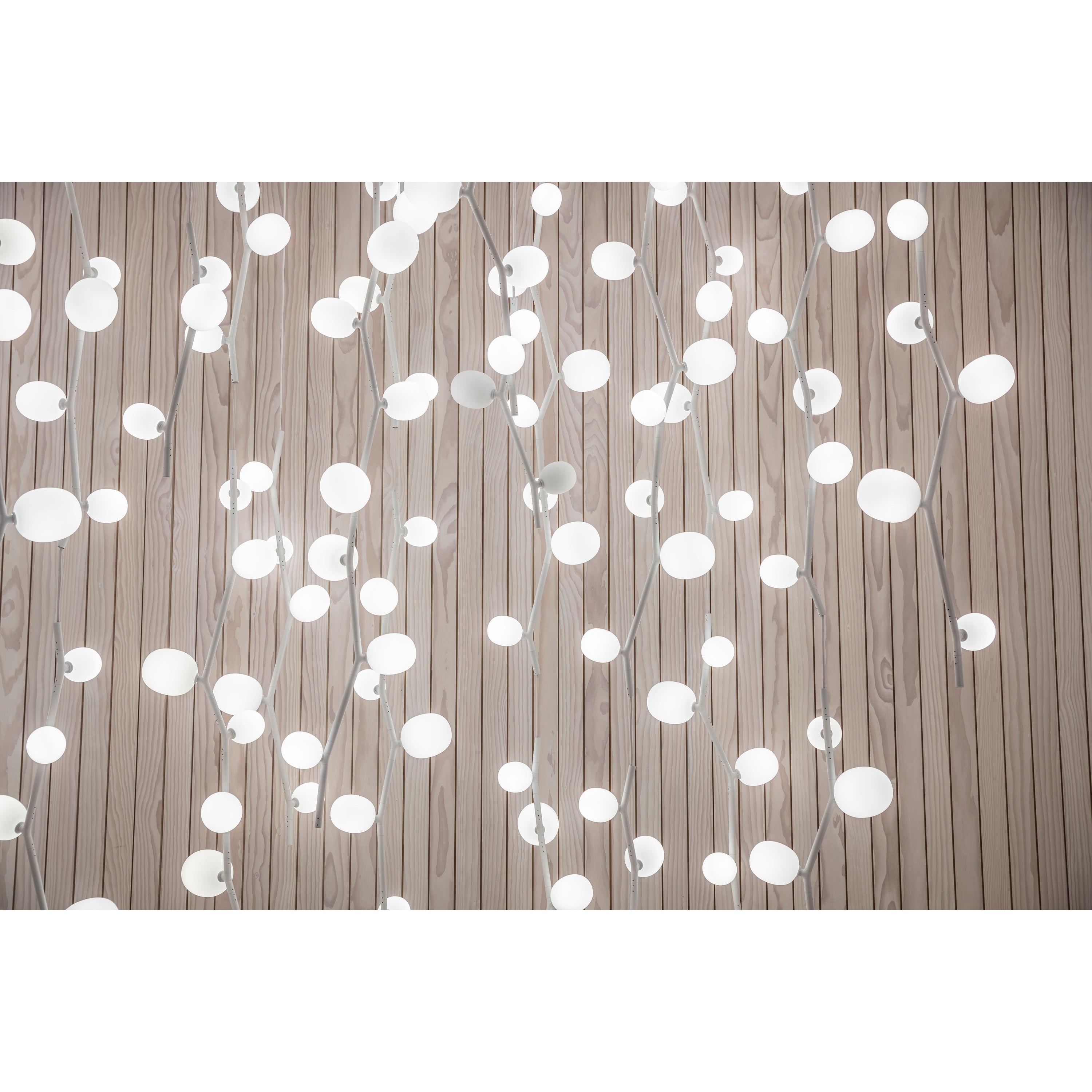 Isolora Modern Minimalist Vertical Glass Pendant Lamp - Letslighting