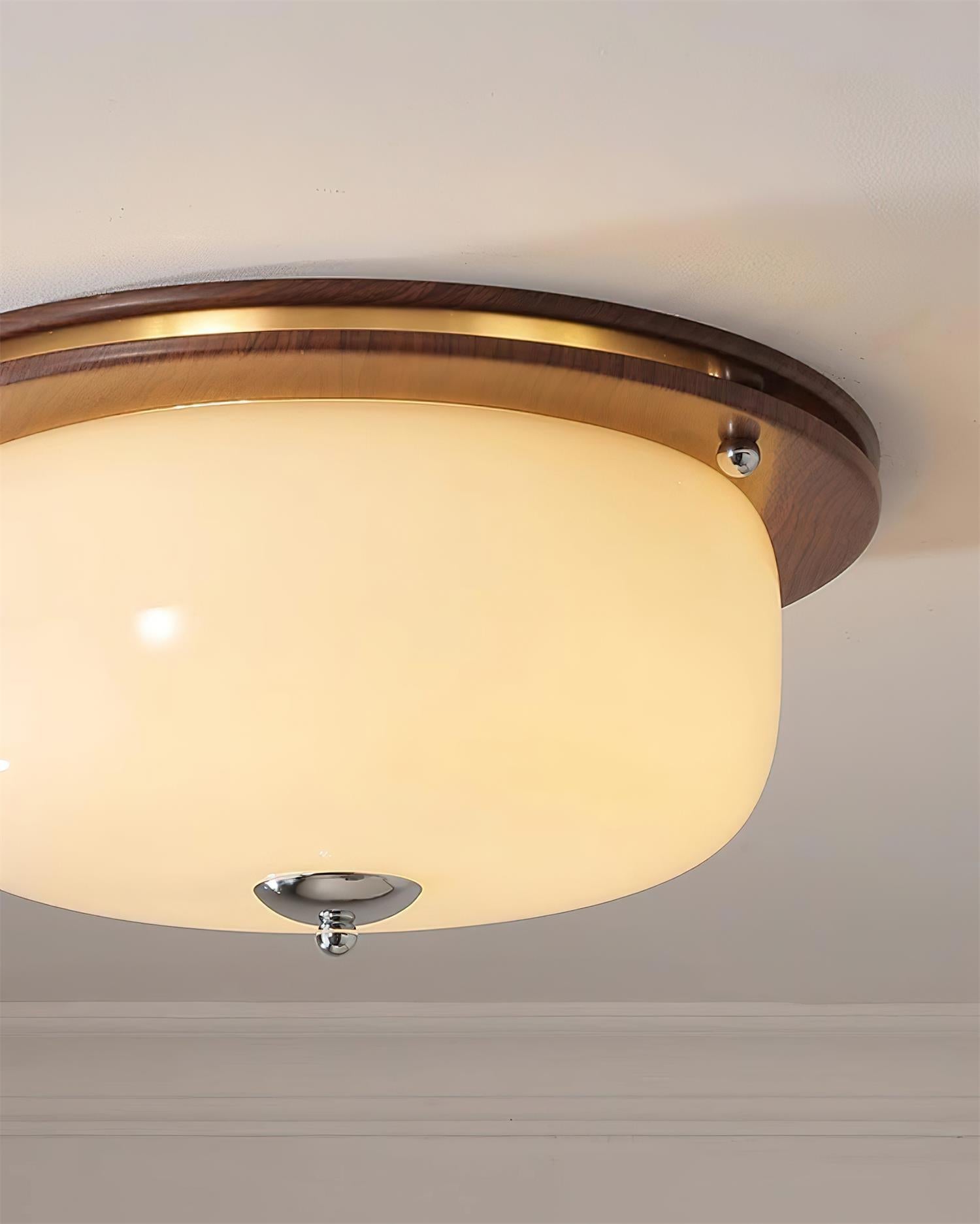 Ceiling Light Glass Flush Mount Modern Minimalist Walnut Brown - Letslighting