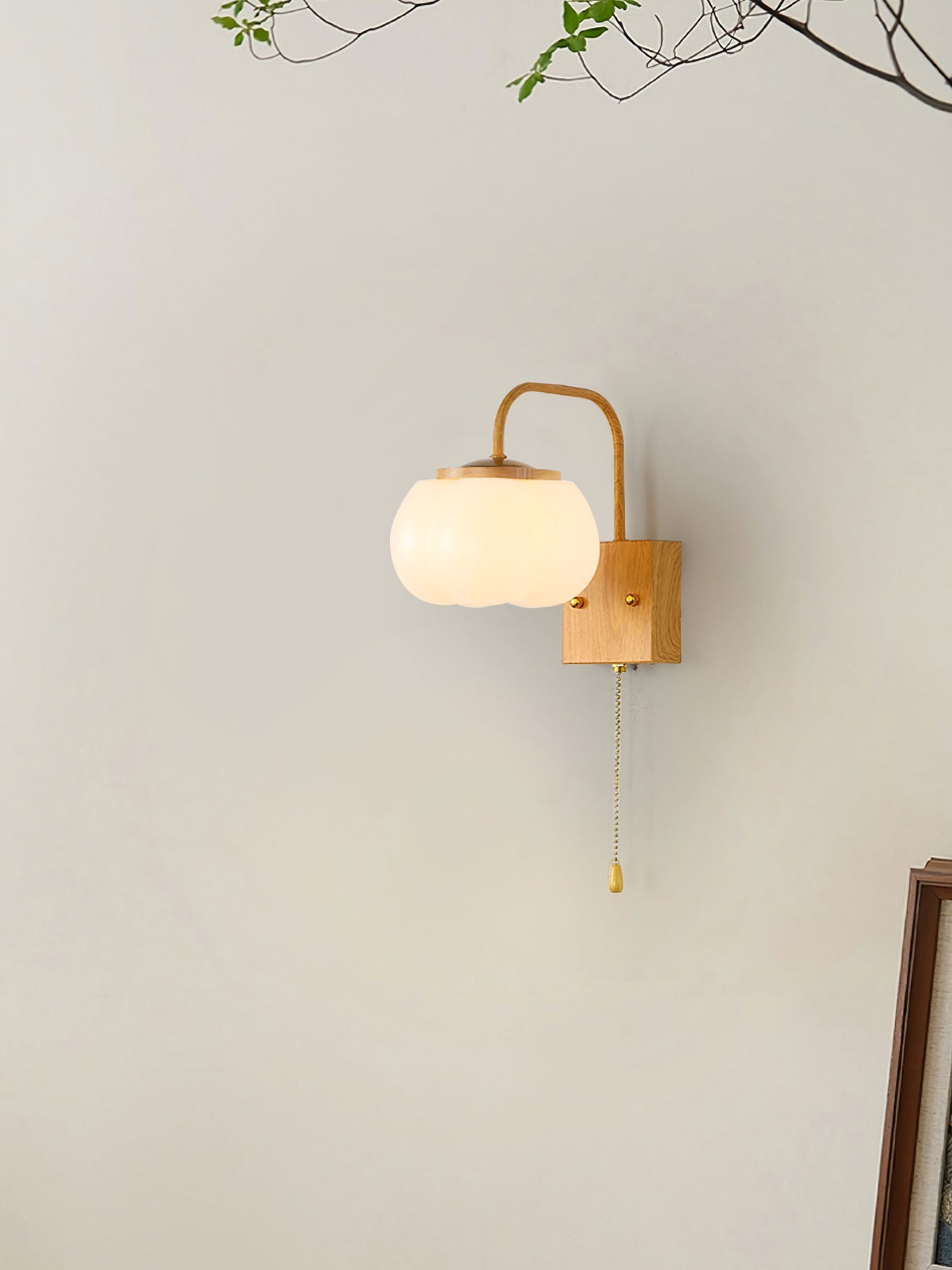 Eurrinis Elegance Flower Plastic Wall Lamp - Letslighting