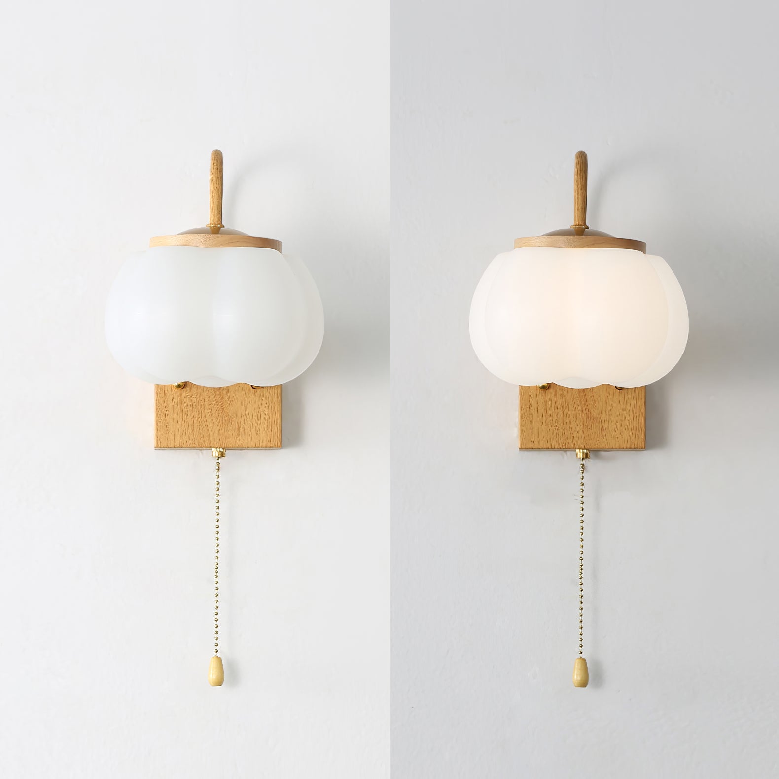 Eurrinis Elegance Flower Plastic Wall Lamp - Letslighting