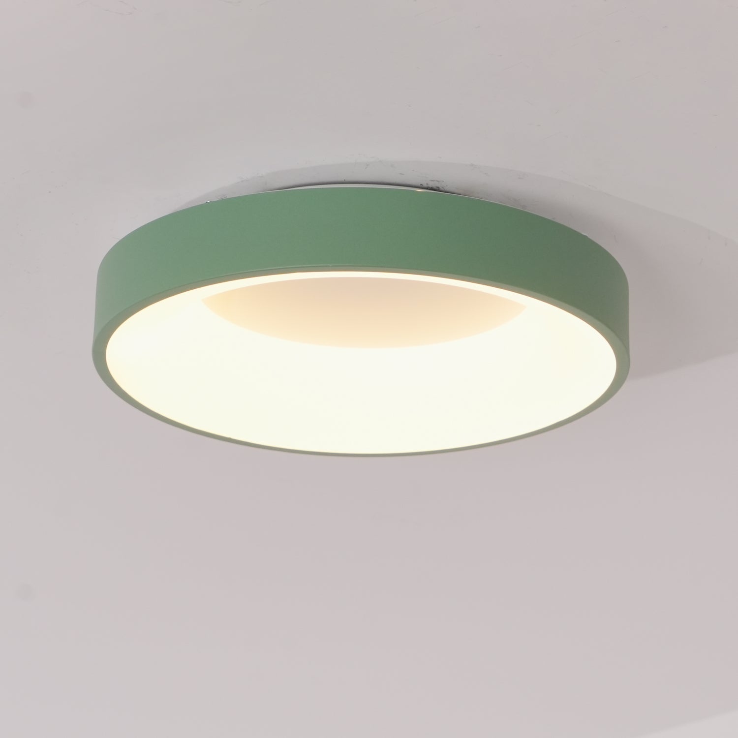 Solara Ceiling Light Iron Contemporary Green Shade - Letslighting