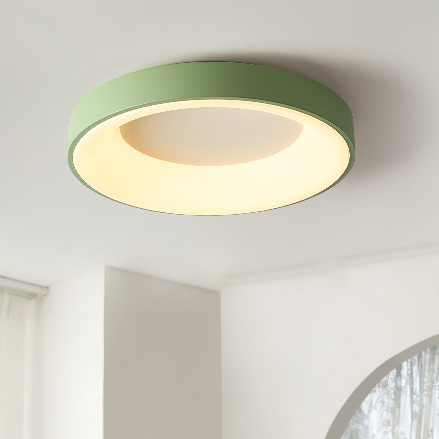 Solara Ceiling Light Iron Contemporary Green Shade - Letslighting
