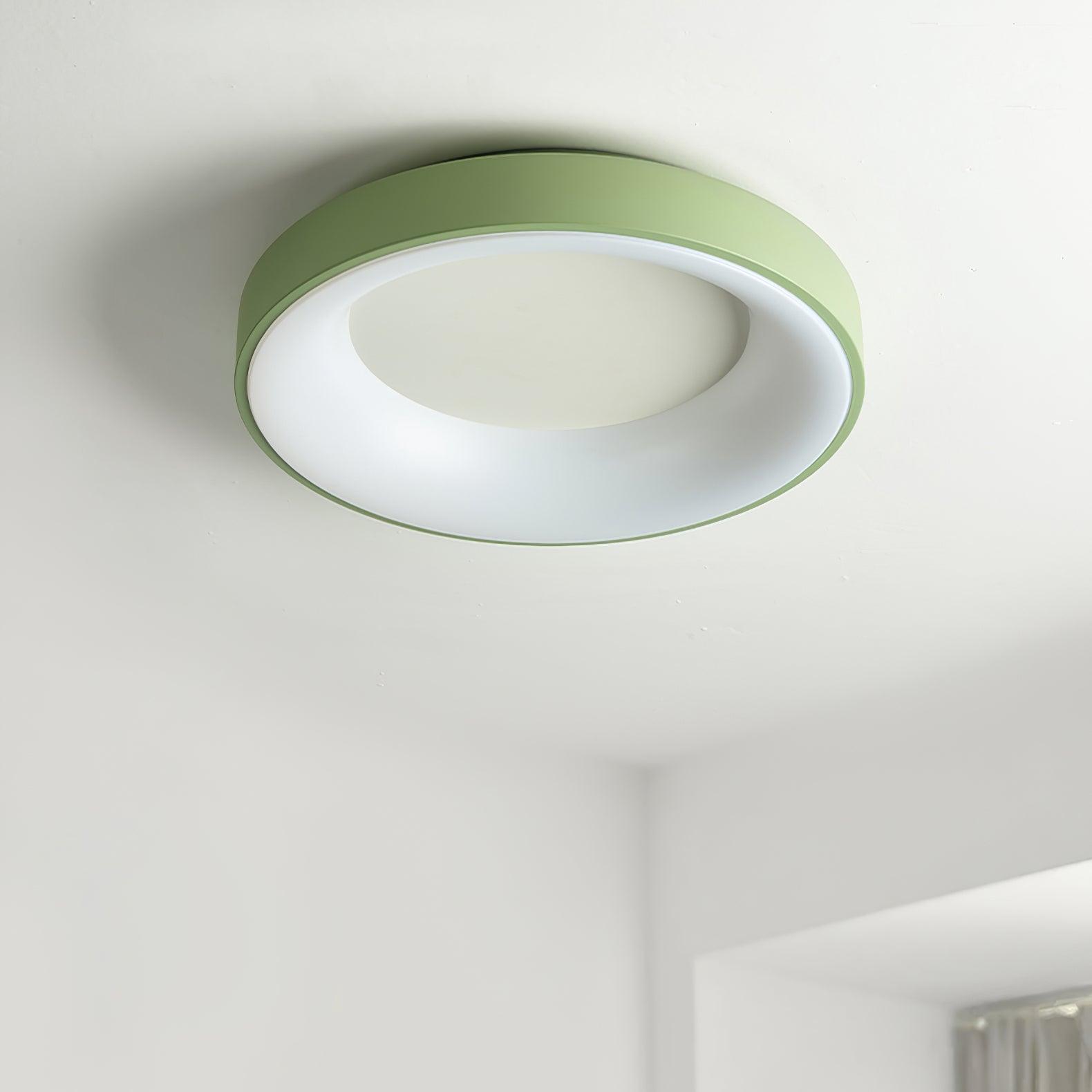 Solara Ceiling Light Iron Contemporary Green Shade - Letslighting