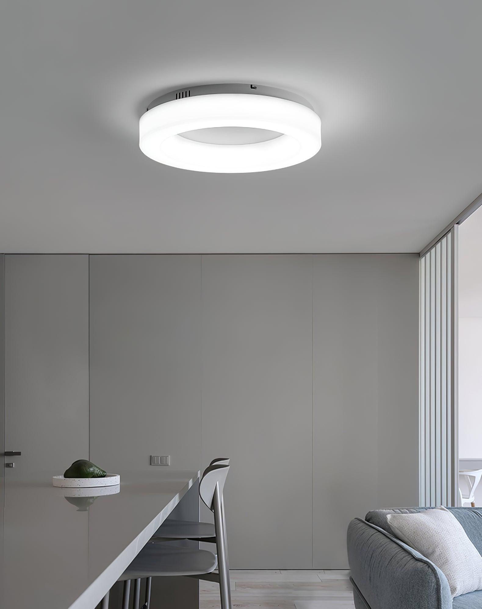Erraeiel Modern Minimalist Art Ceiling Light - Letslighting