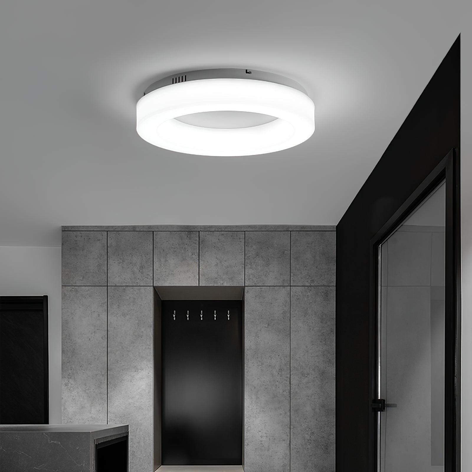 Erraeiel Modern Minimalist Art Ceiling Light - Letslighting