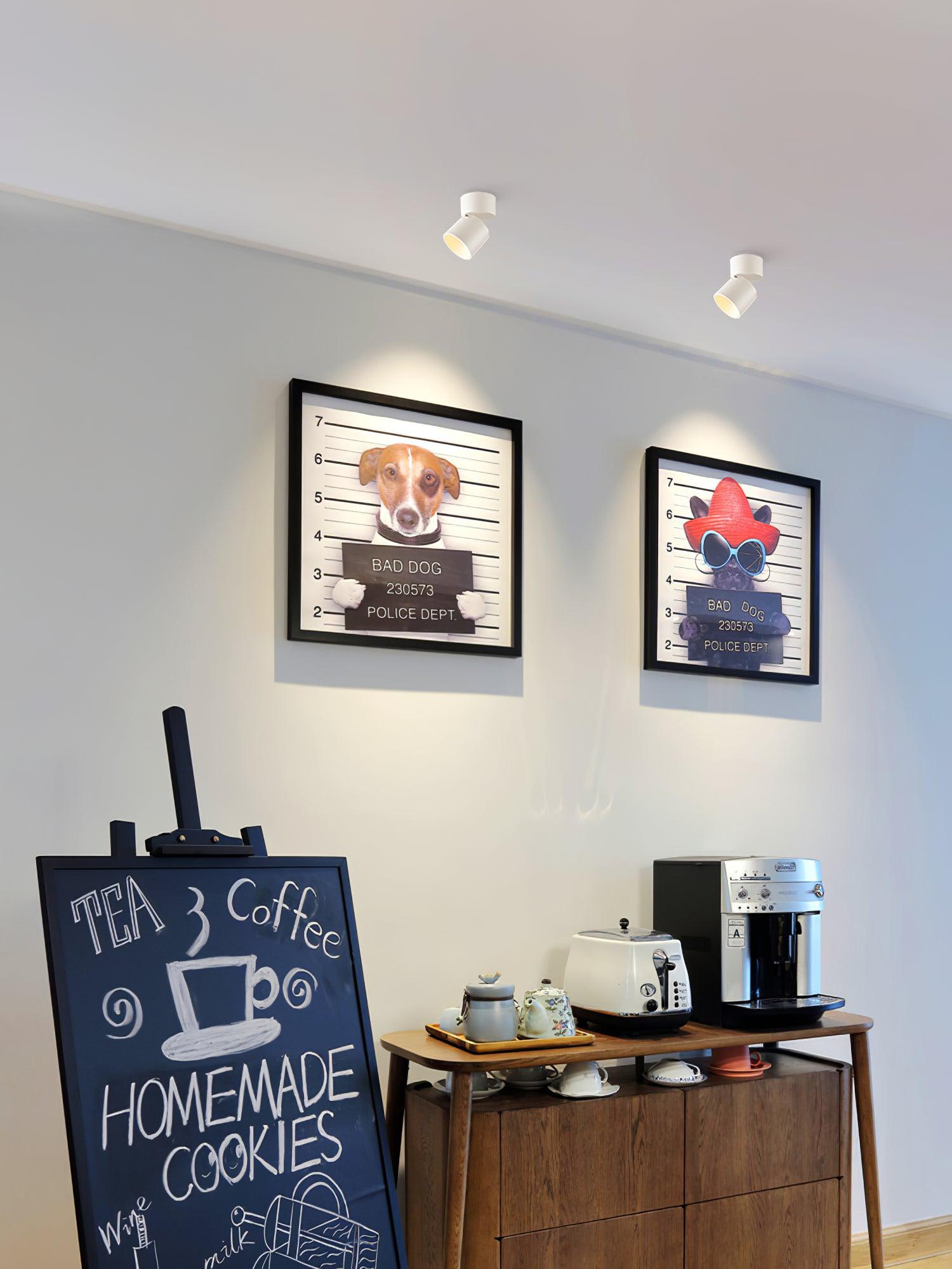 Alvynora Modern Minimalist Spotlights Ceiling lamp - Letslighting